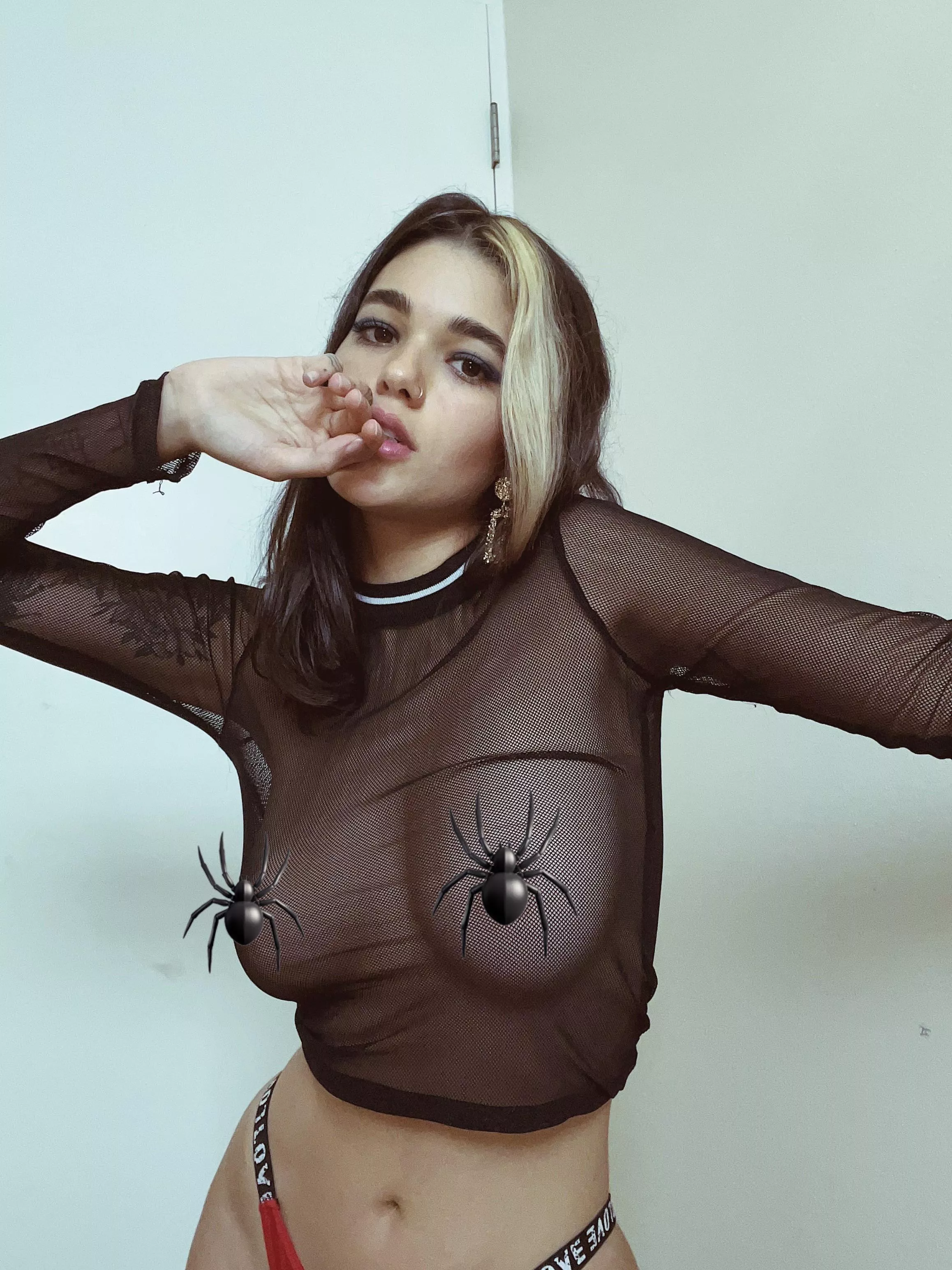 ðŸ•·