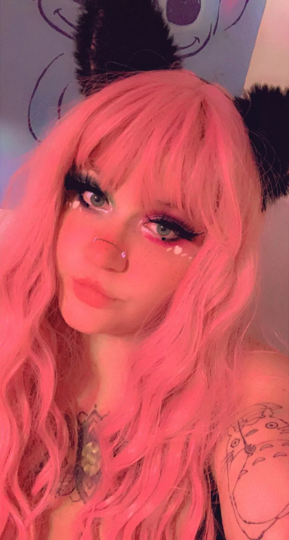 🐈‍⬛🌸💕🎀✨