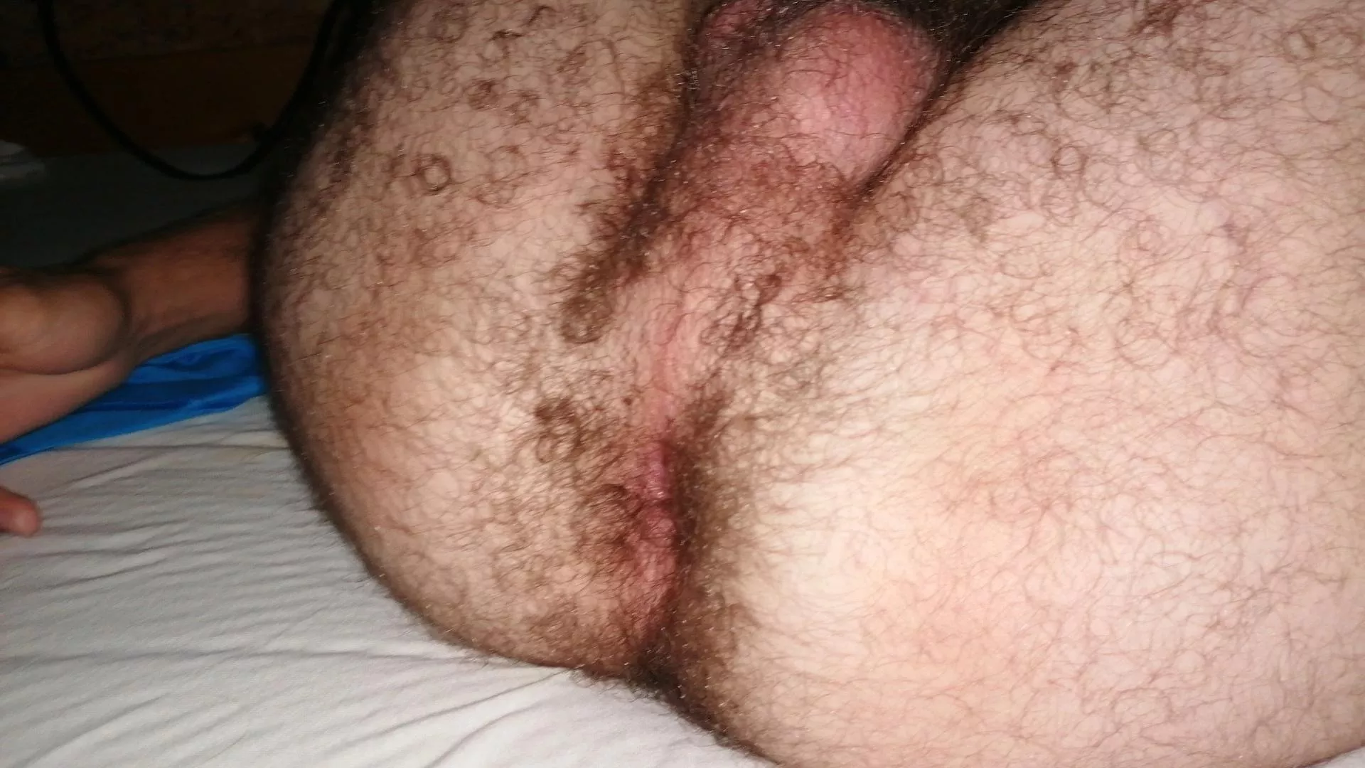 18/ Who wanna fuck and sniff my young hairy ass? 🥵🐻