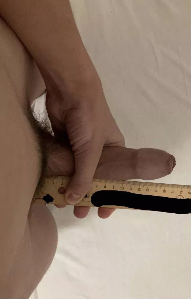 19, around 16 cm (6.3 inches)