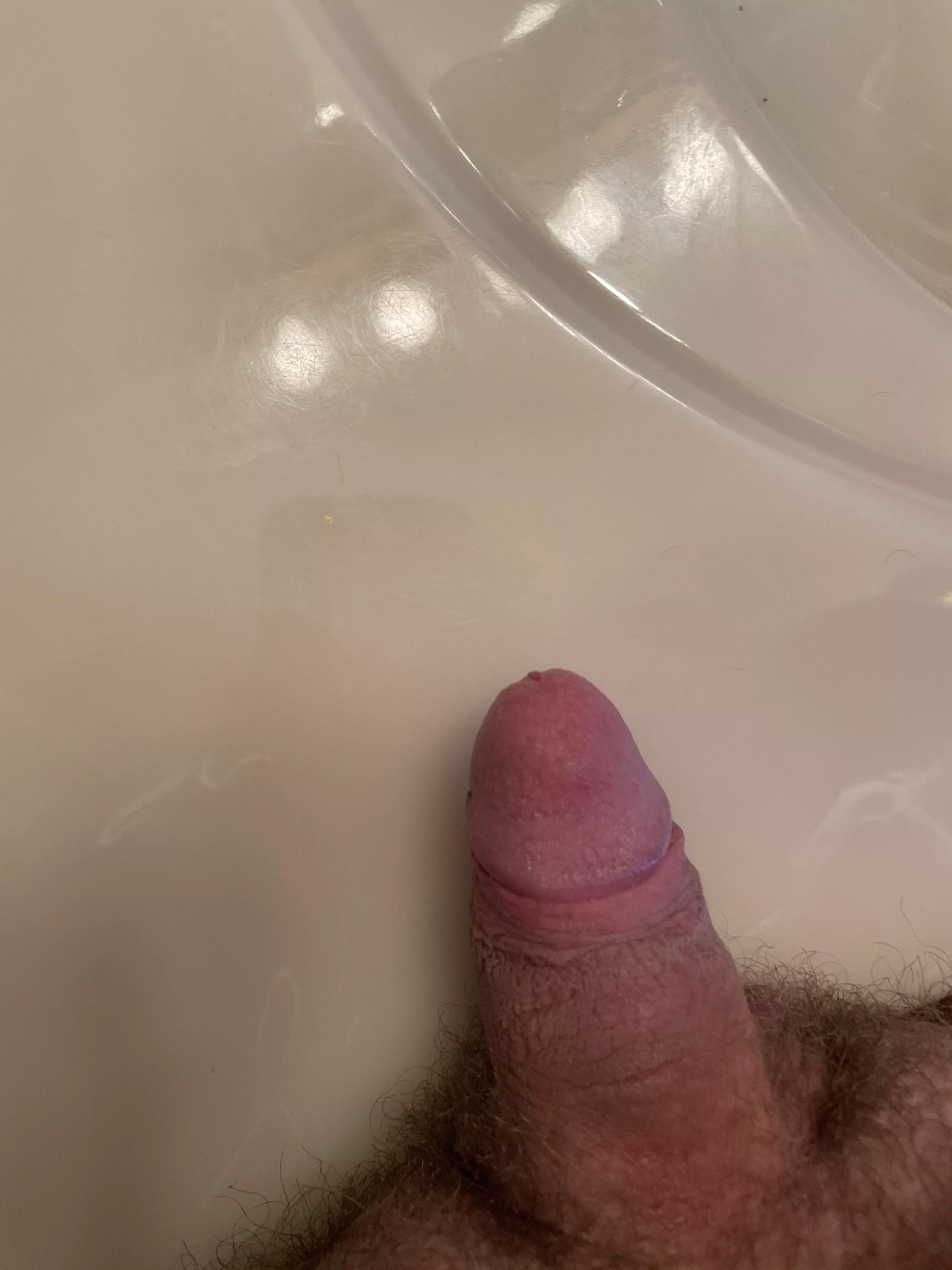 [20] not really that big sadly :/ got girth tho and tips smooth and shiny ;) dms open