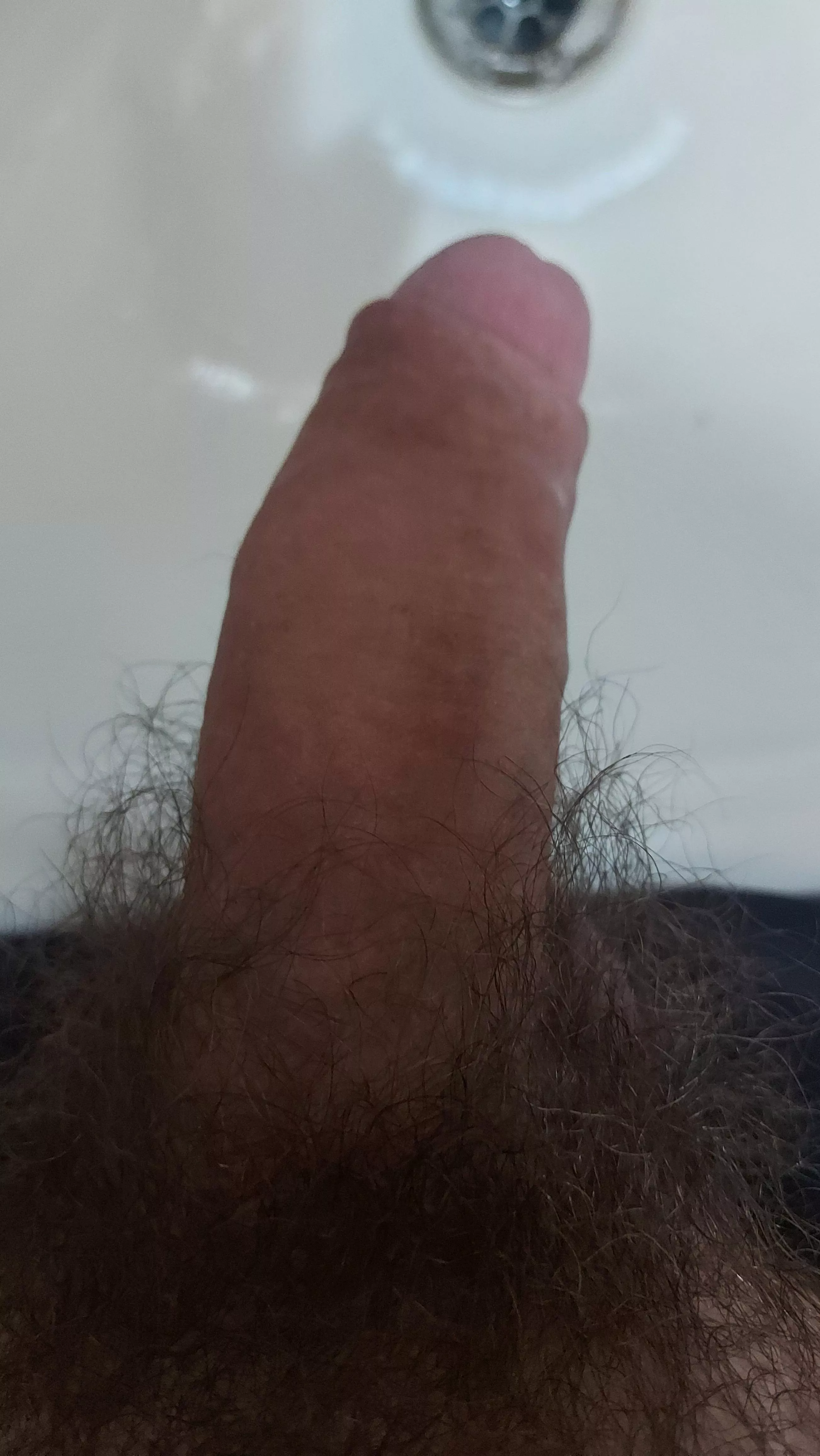 21 Bi. So horny rn. Dm open