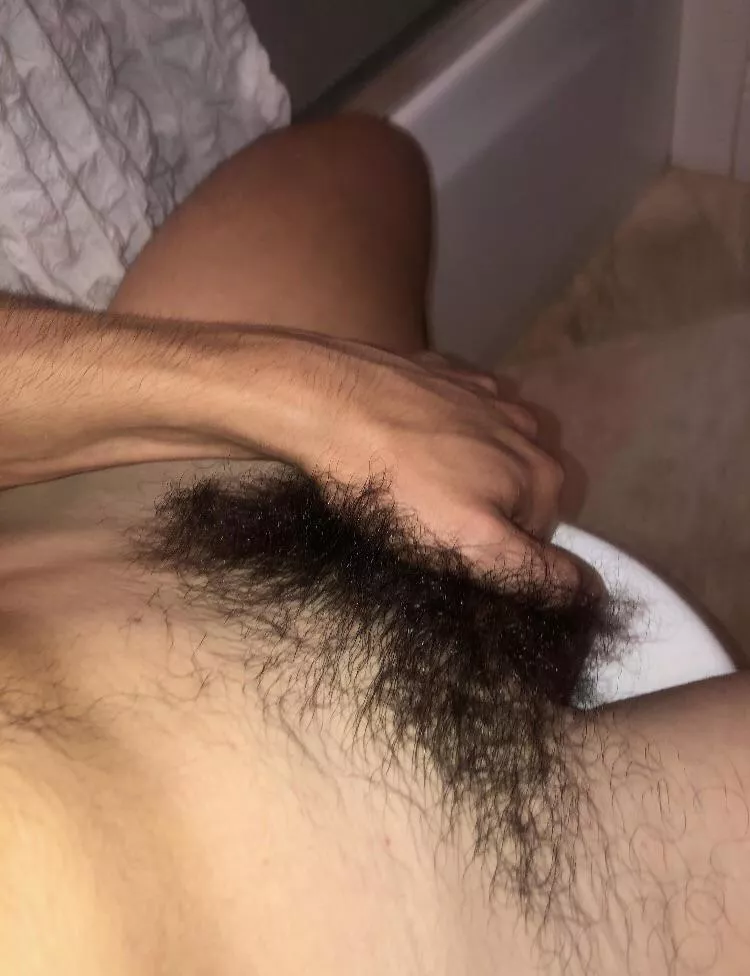 21 bicurious college athlete, hit me up if you have hairy pubes/pits/chest,, or add me on snap @pgrey773