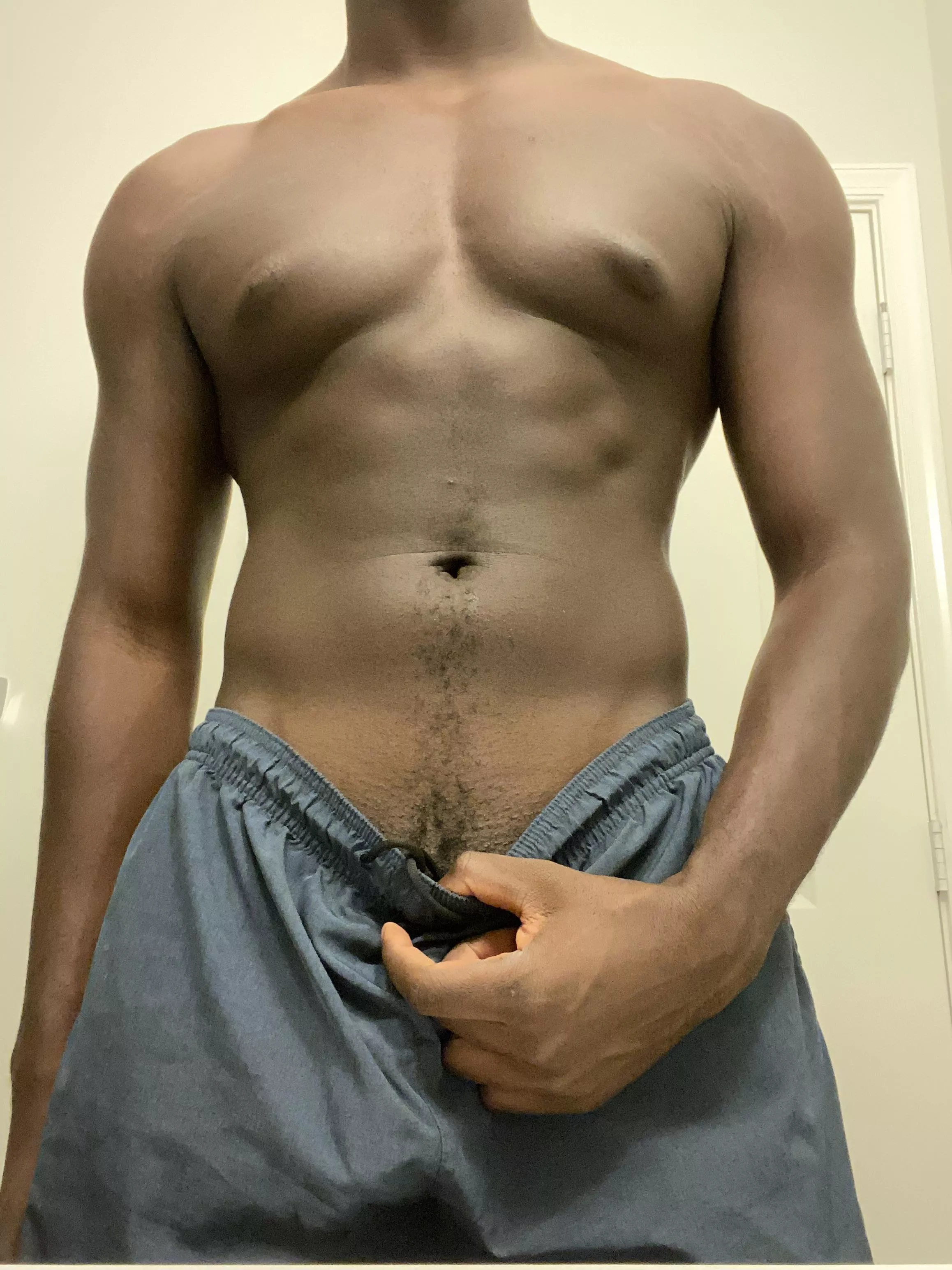 21 M Fit BBC Bull in Miami