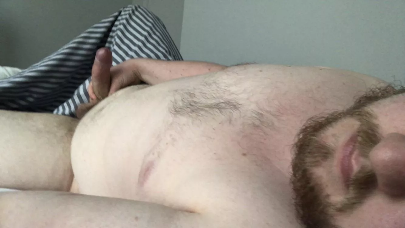 21 year old cub here. First time posting here. Need a daddy.