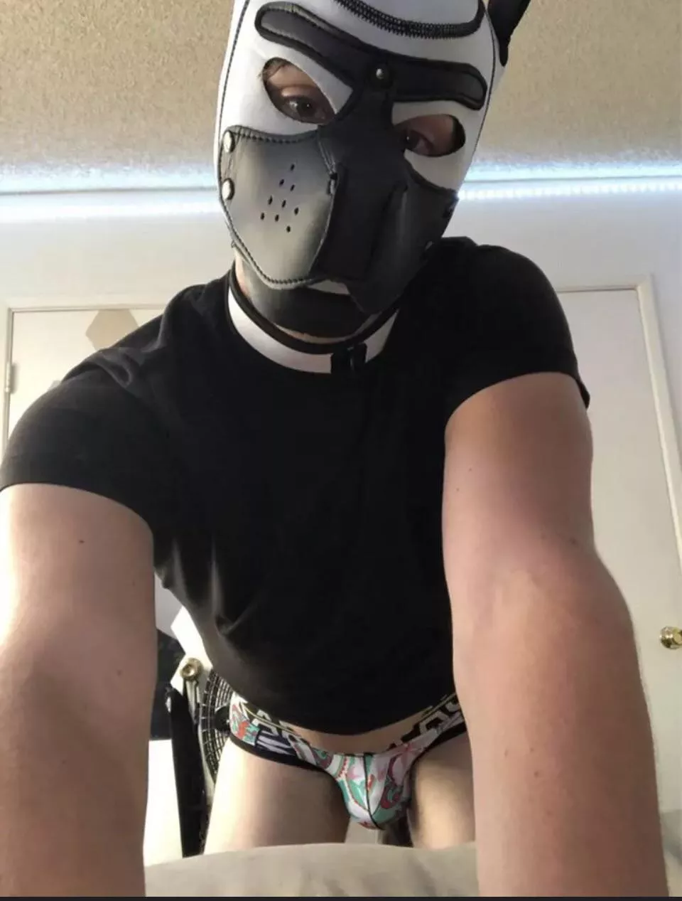 22m pup bored af