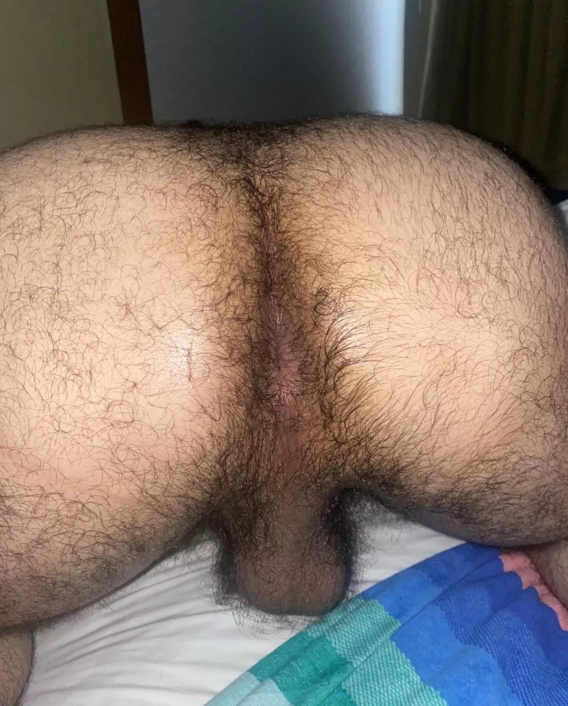 23; who wants to explore my hairy hole? sc: danehilol