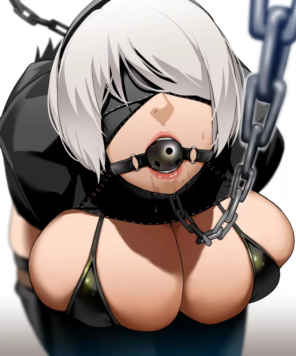 2B (Satoriwappa)