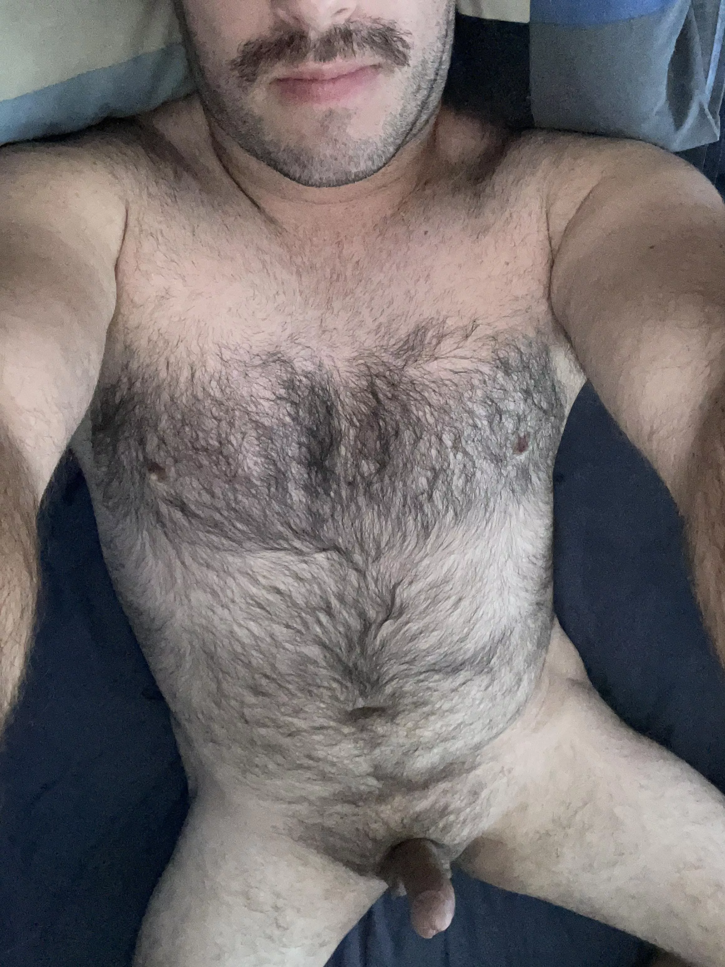 30yr old Aussie bi bear, tell me what you think. DMâ€™s open, snap on profile too ;)