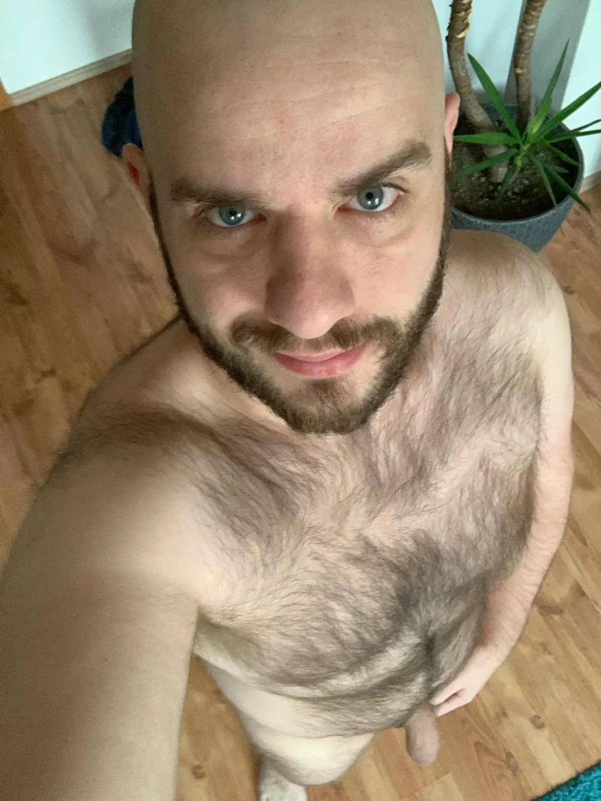 [31] Good morning. Would you run your fingers through my hairy chest and make me hard?