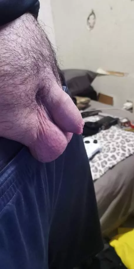 [33] big balls tiny dick