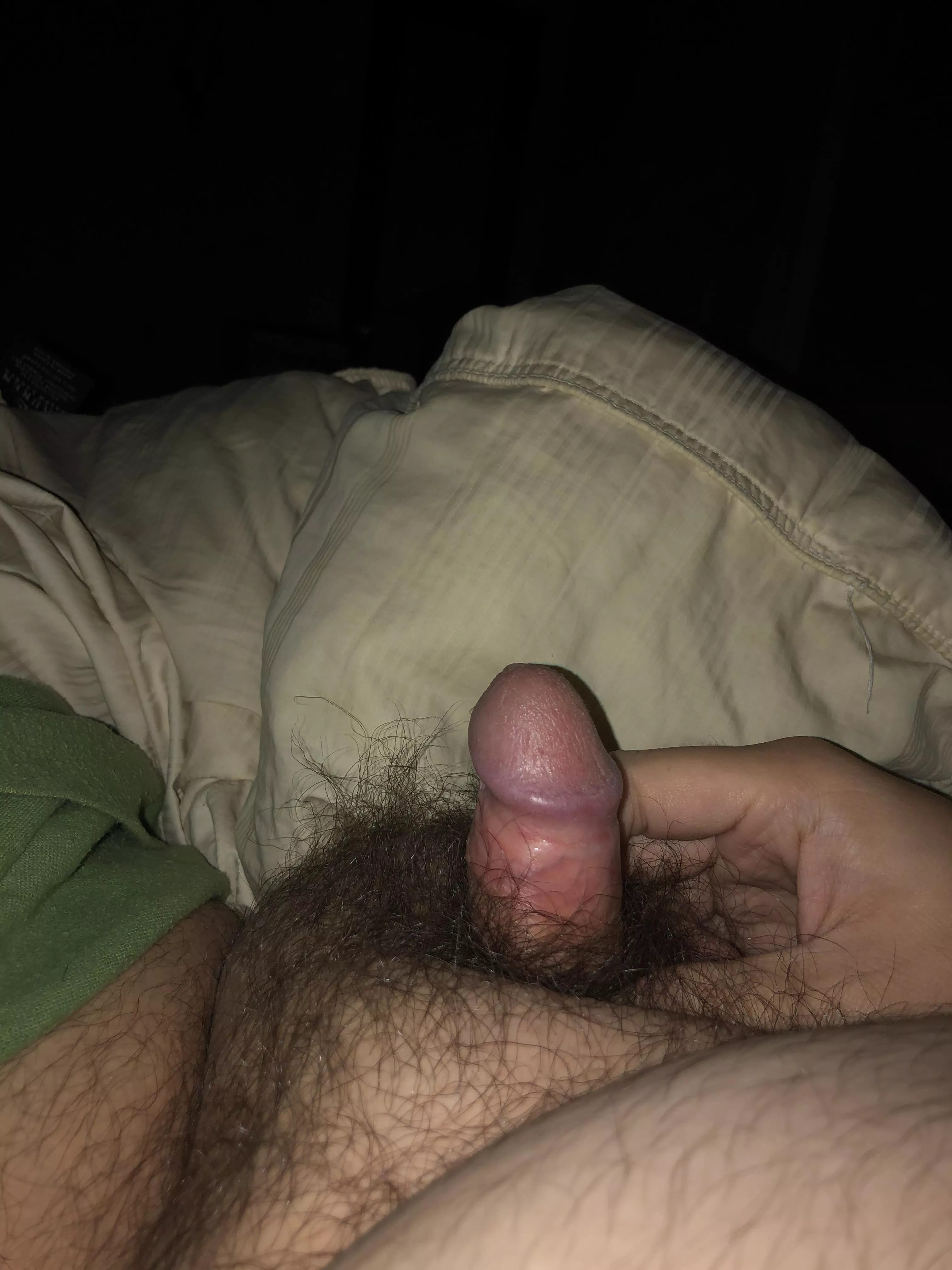 [33] Wanting to slide into a pussy for the first time