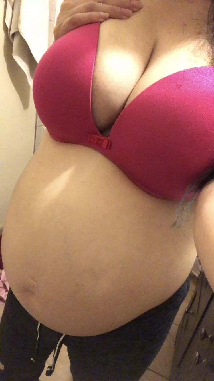 33 weeks 😏 getting so big. Keep up with my last month? . Link in comments🥰 free video to all new subs