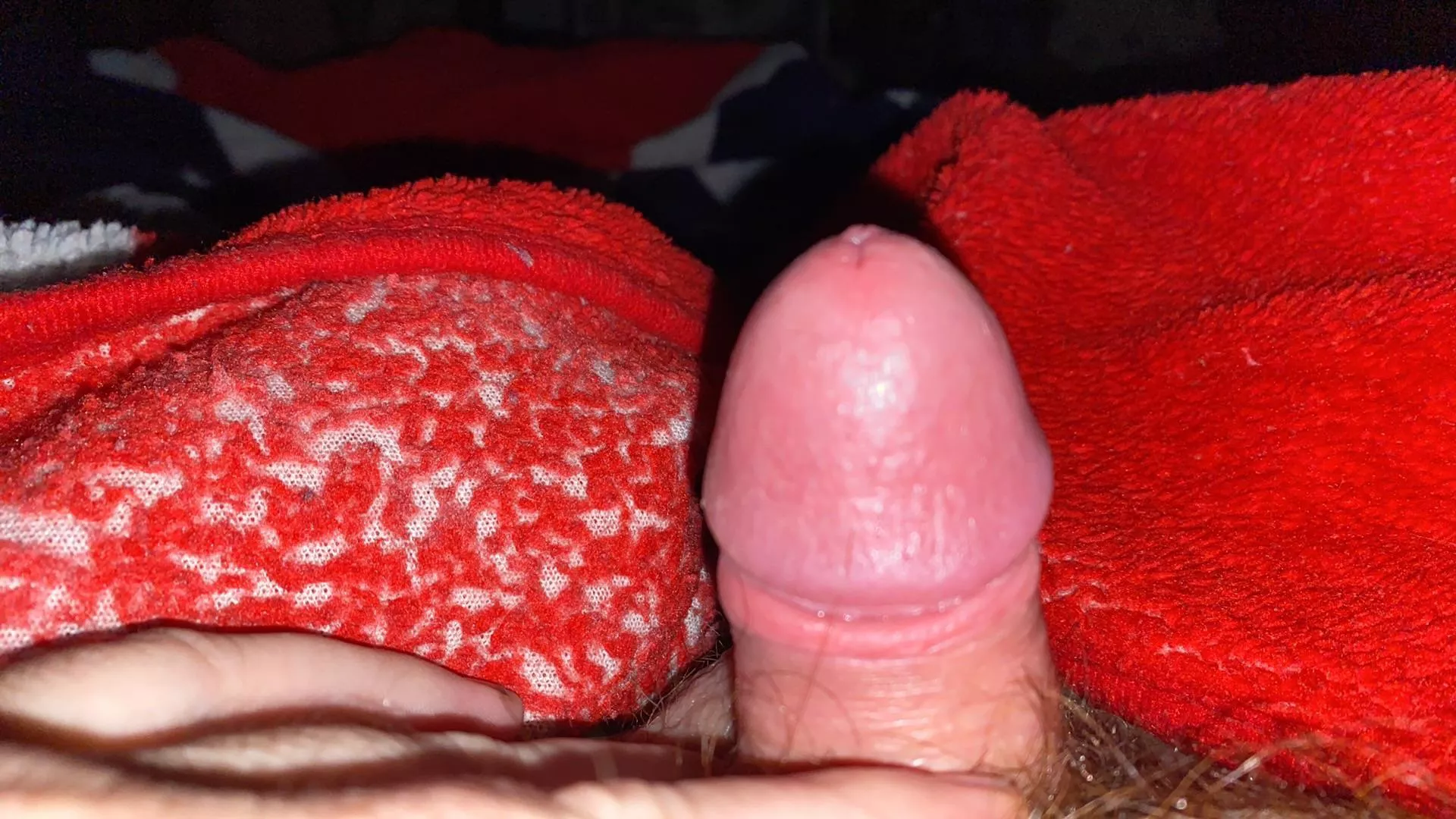 [37] tiny dick