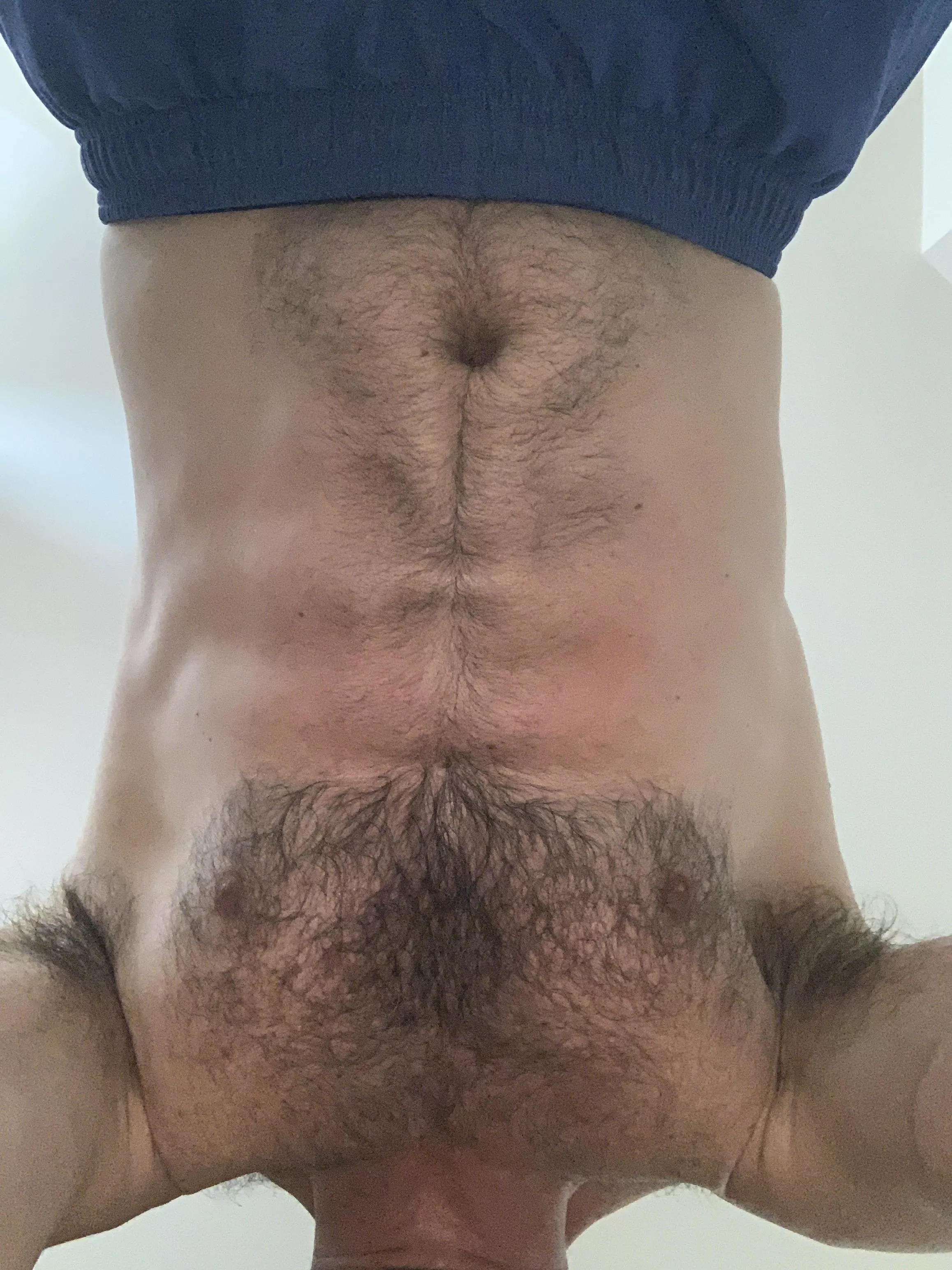 (40)(m) and planking. Can I rest on you?