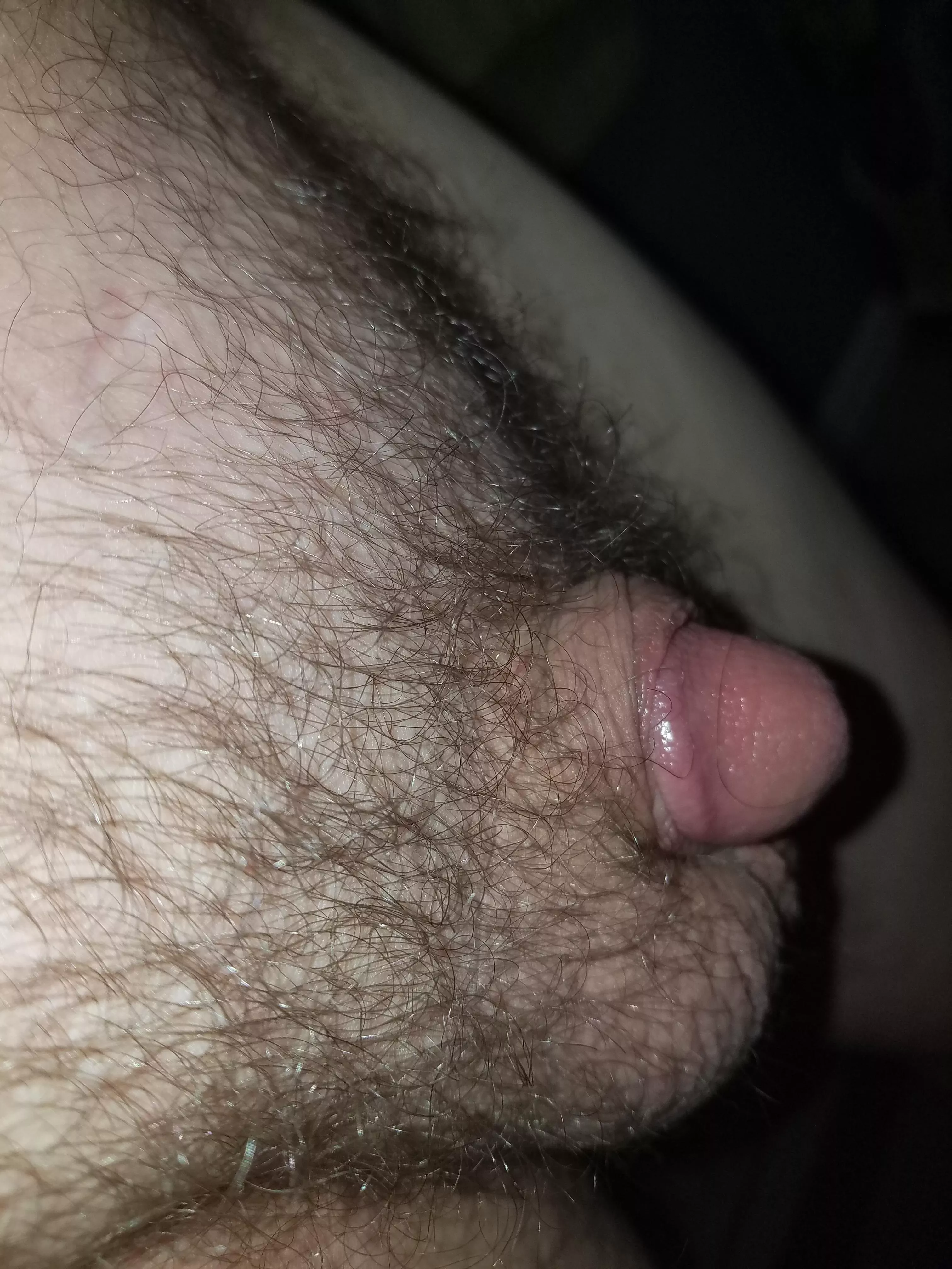 [43] hello all... my hairy tiny guy.