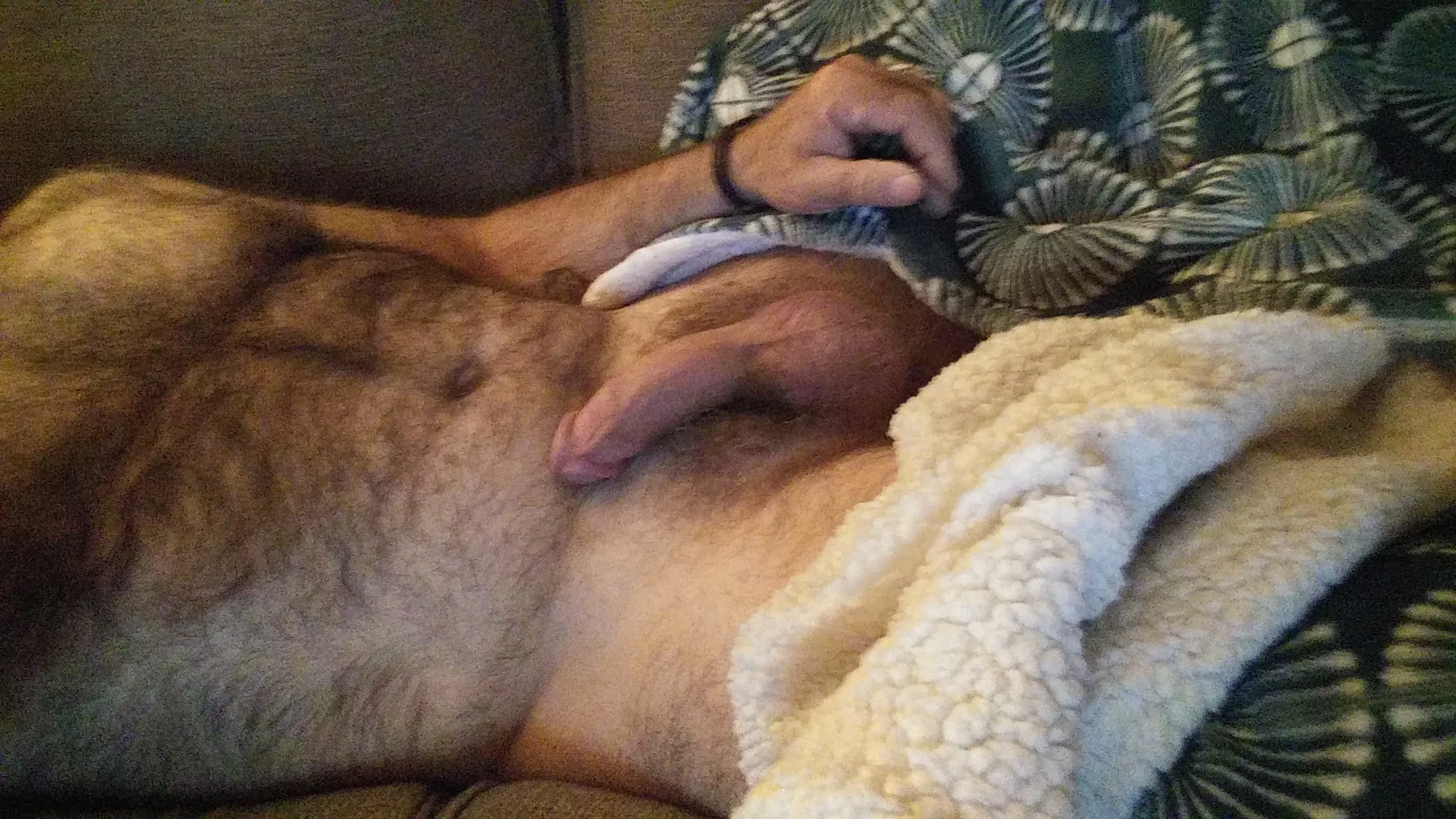 [50] Been doing a lot of lounging about lately. Anyone wanna join me?