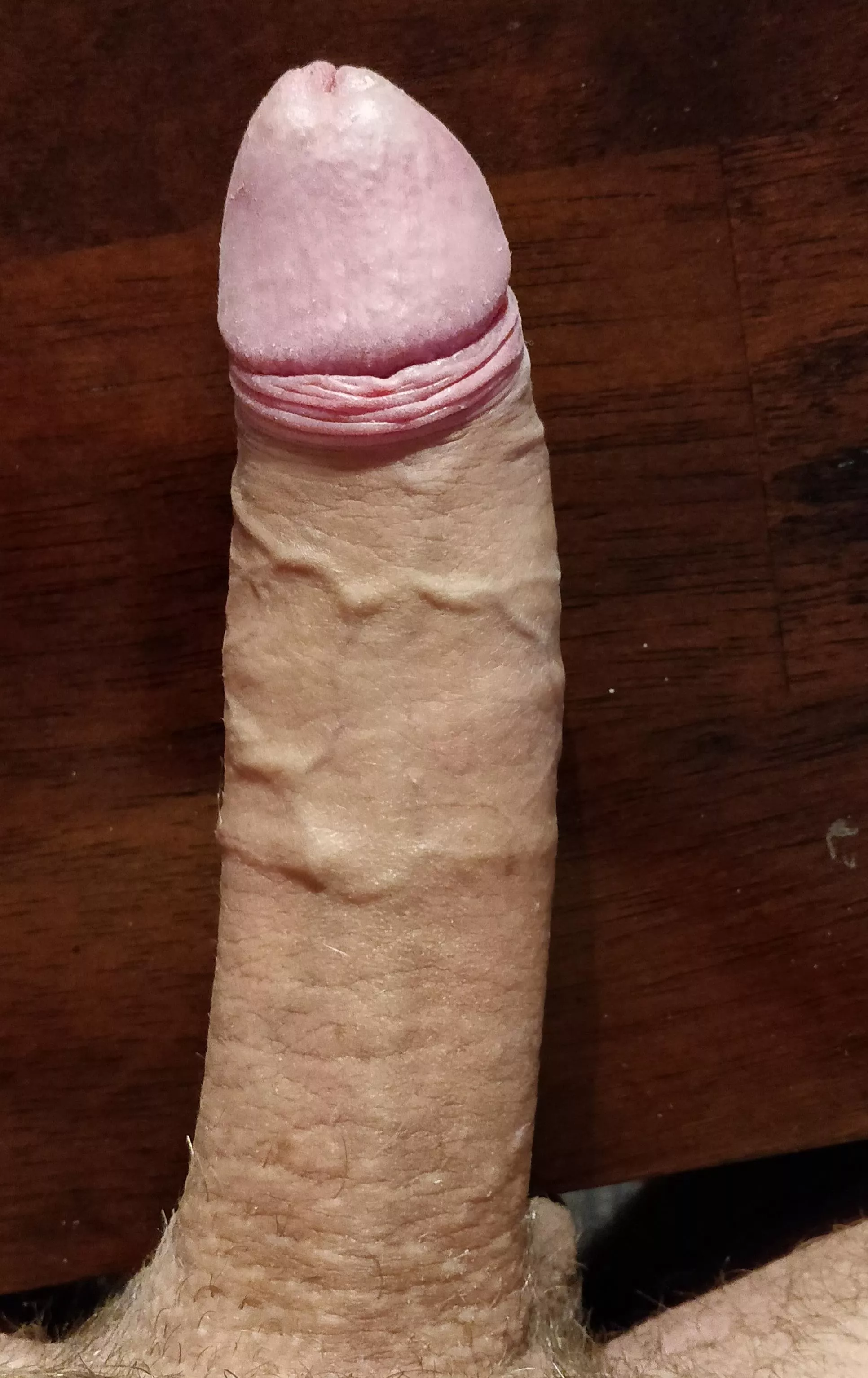 7 inch uncut cock. Tell me what you think