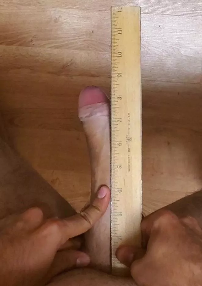 [8.5 inches] OC