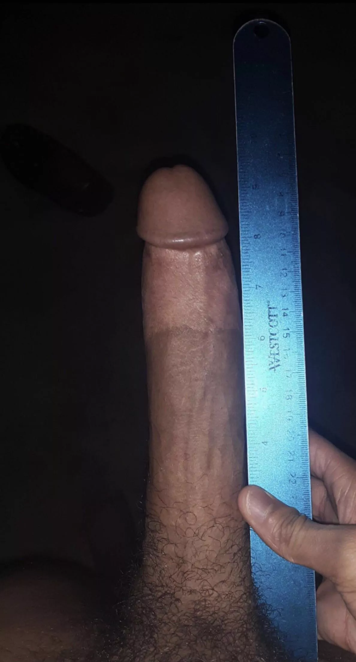 9.5â€ measured right (18m)