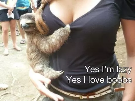 A boob hug [Xpost from /r/funny]