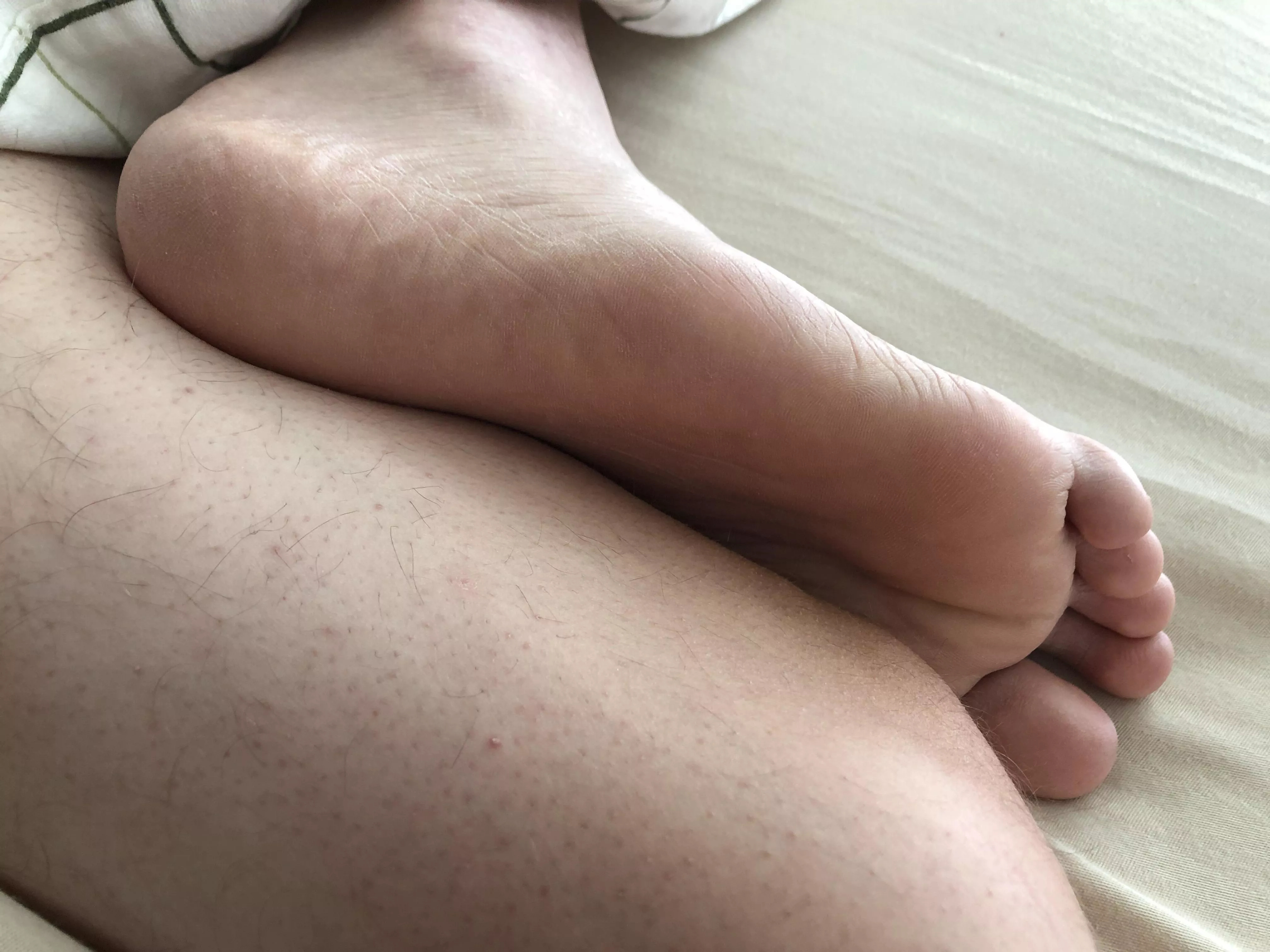 A buddy’s sole