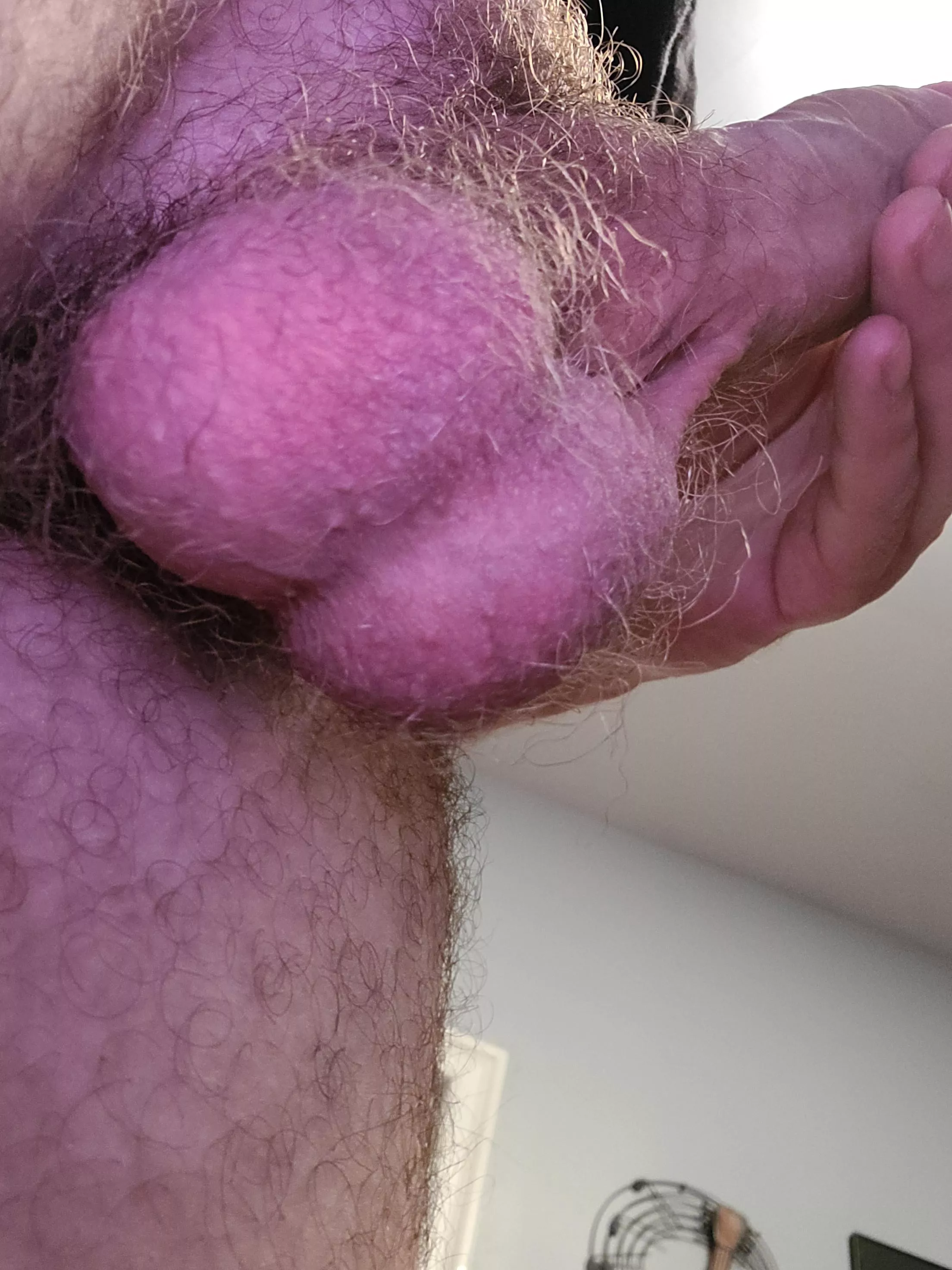 A little hairy but still a good size