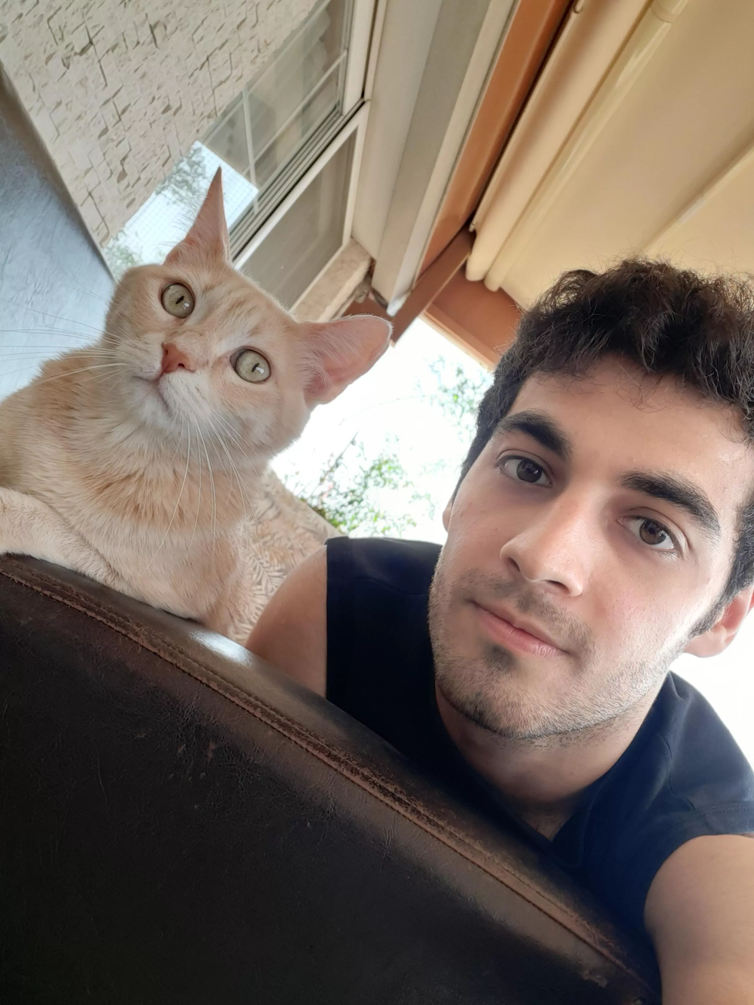 A photo with a cat, how original