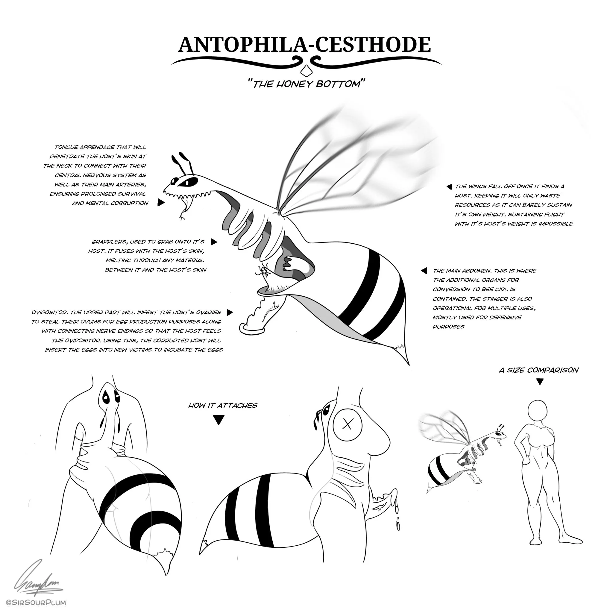 A queen bee parasite concept (SirSourPlum)