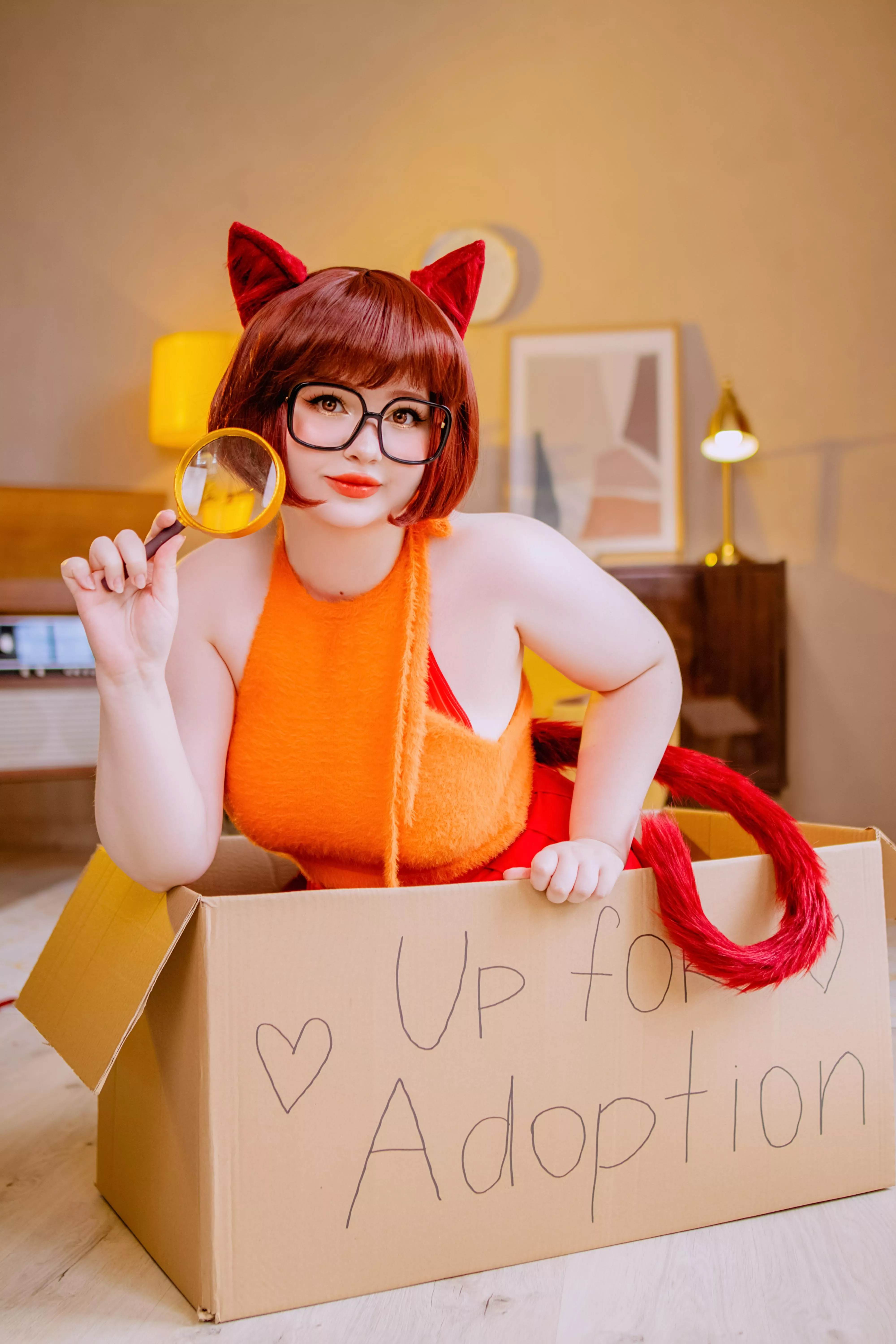 Adopt this cute kitty Velma today! By VenusBlessing