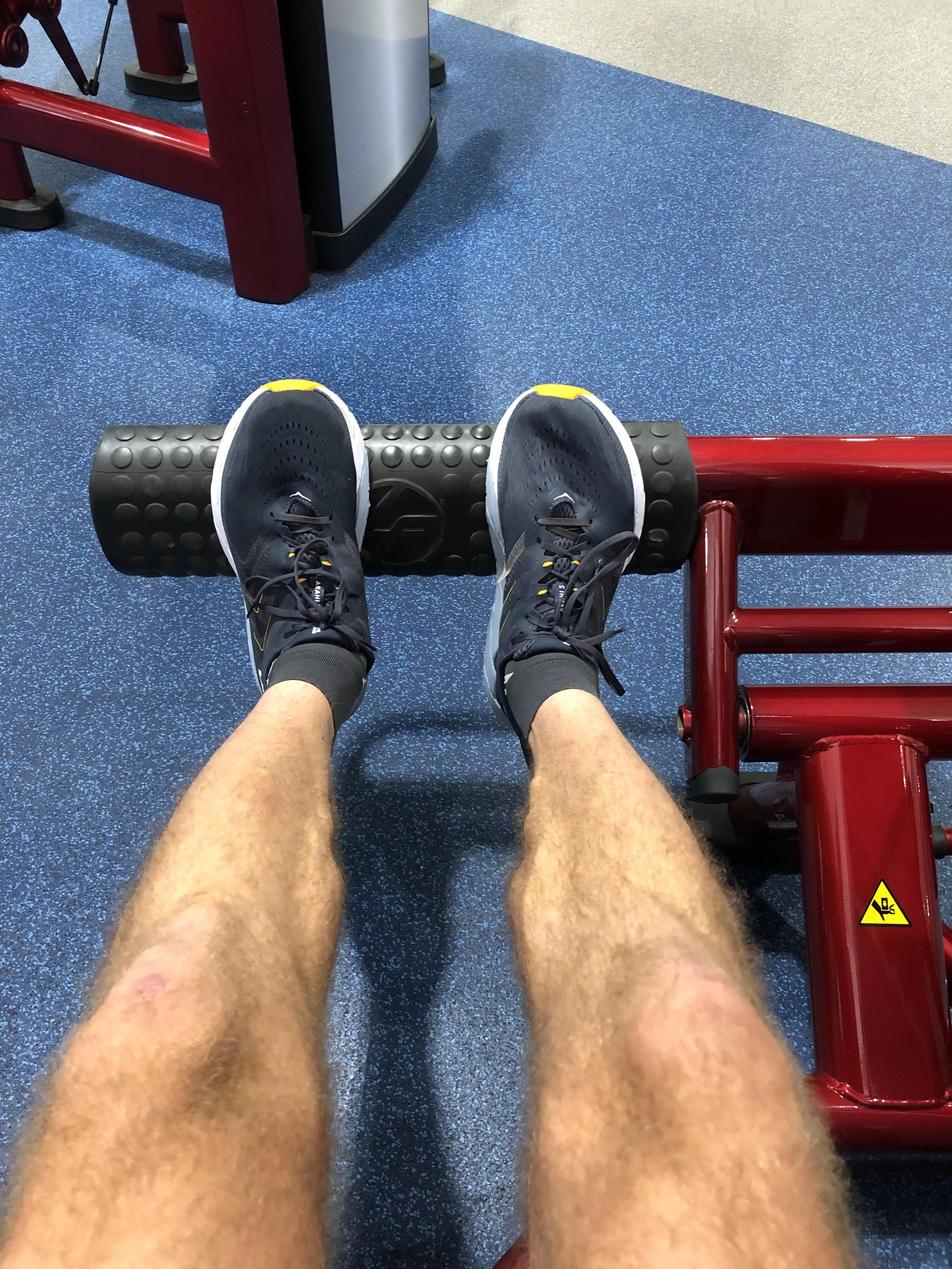 Alright, these are my legs [m].