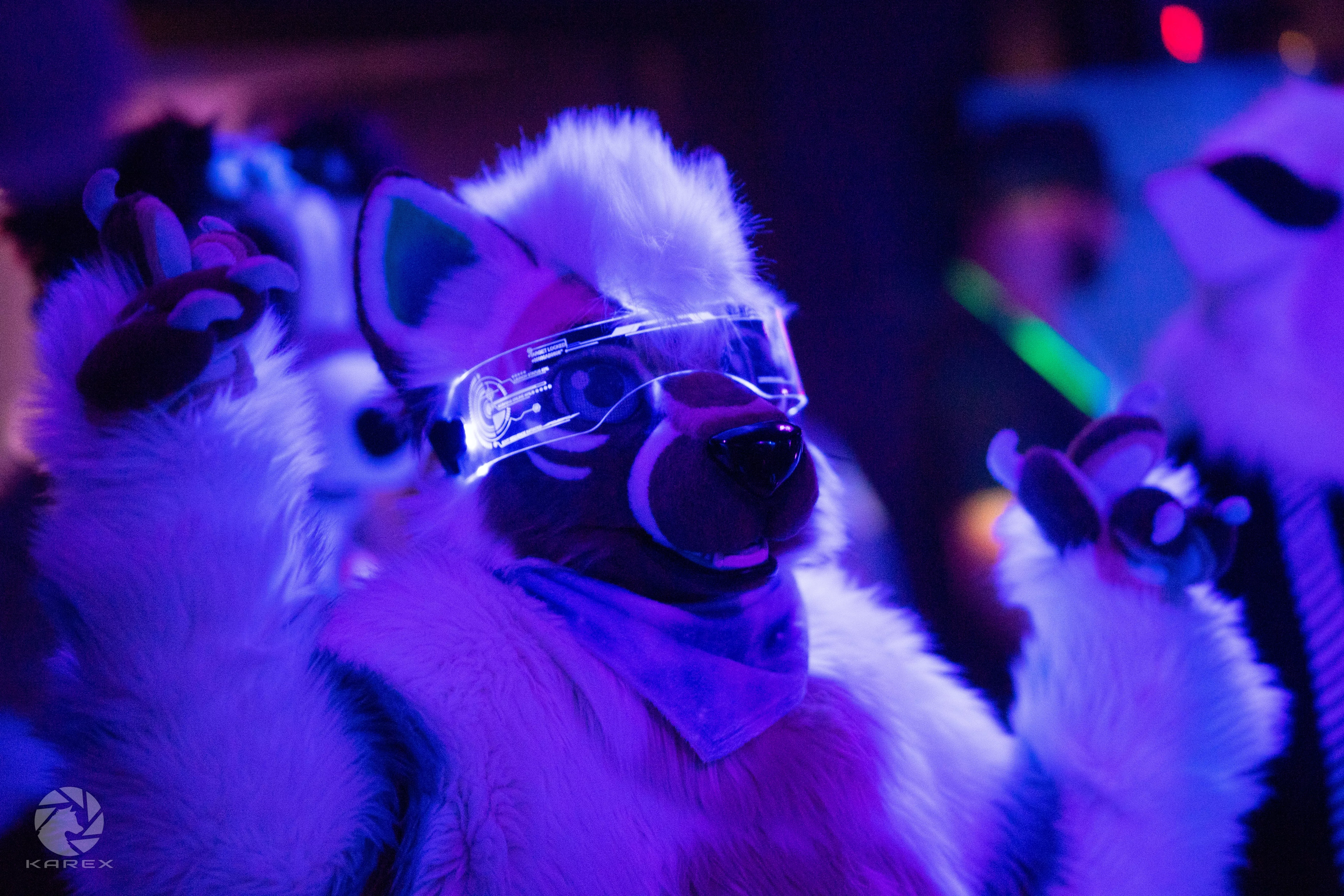 Ame on the Dancefloor at Furstrike! Have a fluffy Thursday 📸 Karex