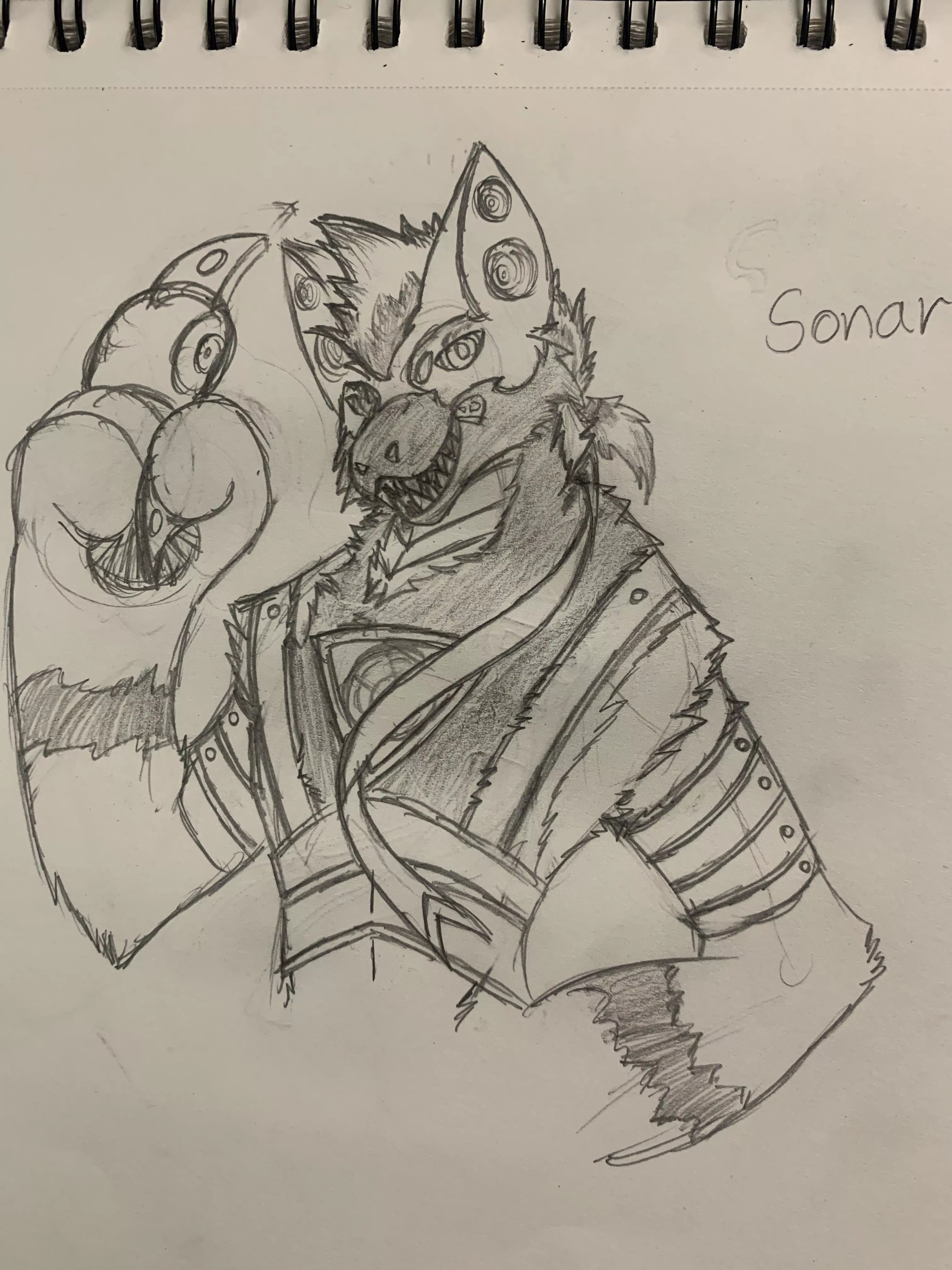 Ampwave sona, this is Sonar