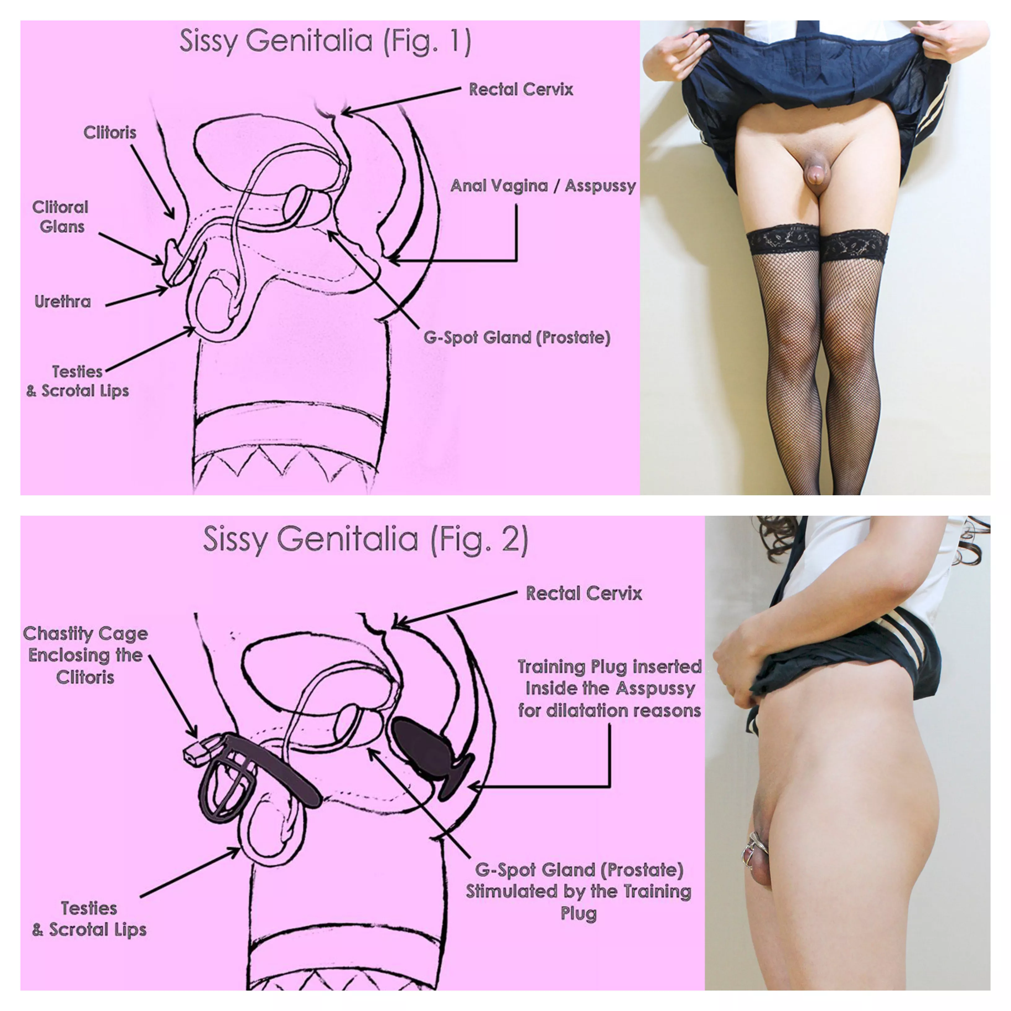 Anatomy Lesson for Sissies