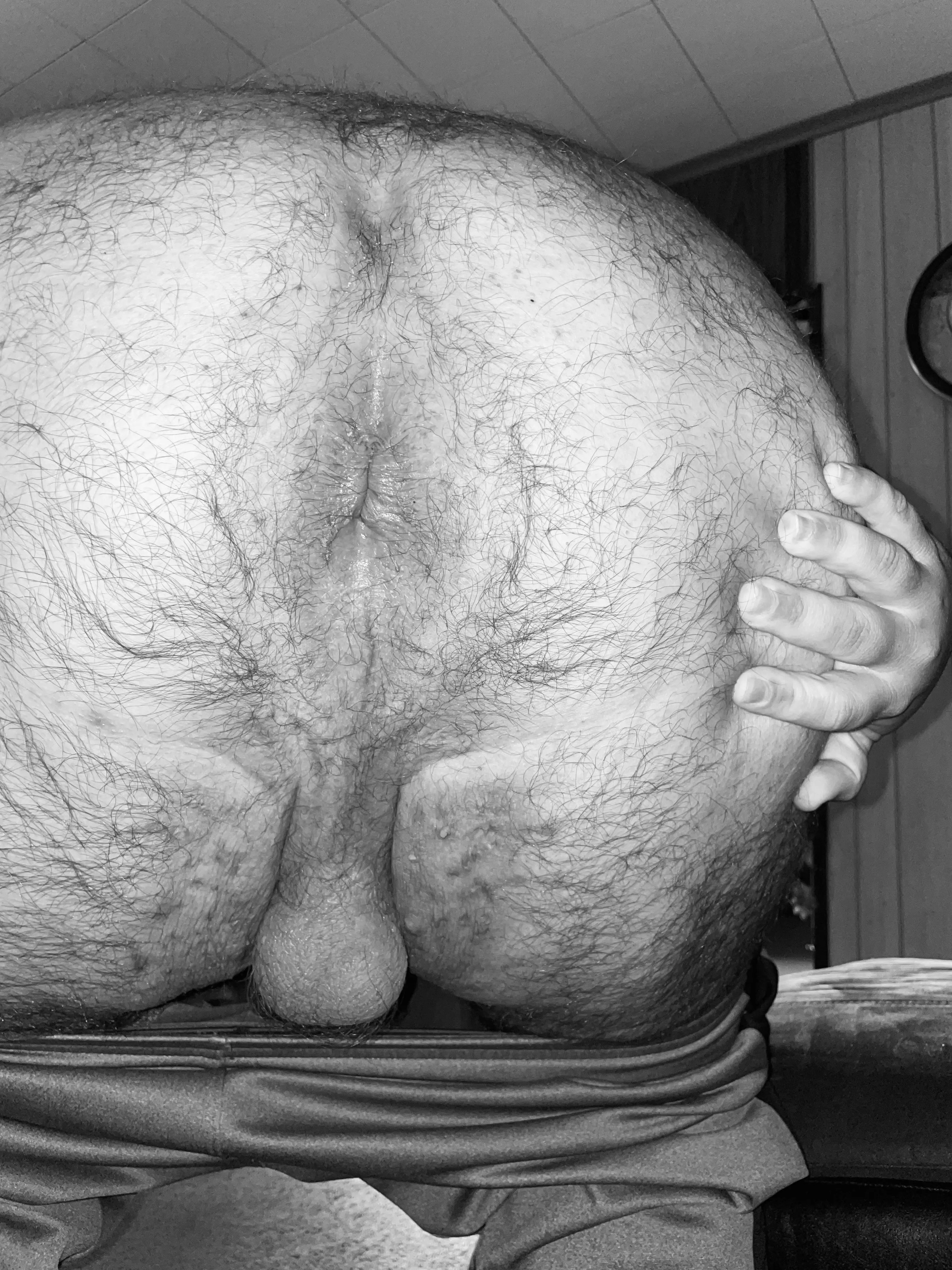 Anyone here like a chubby bears hairy ass?