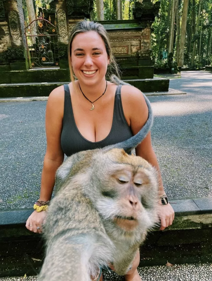 Anyone interested in starting a boobs on top of monkeys subreddit?