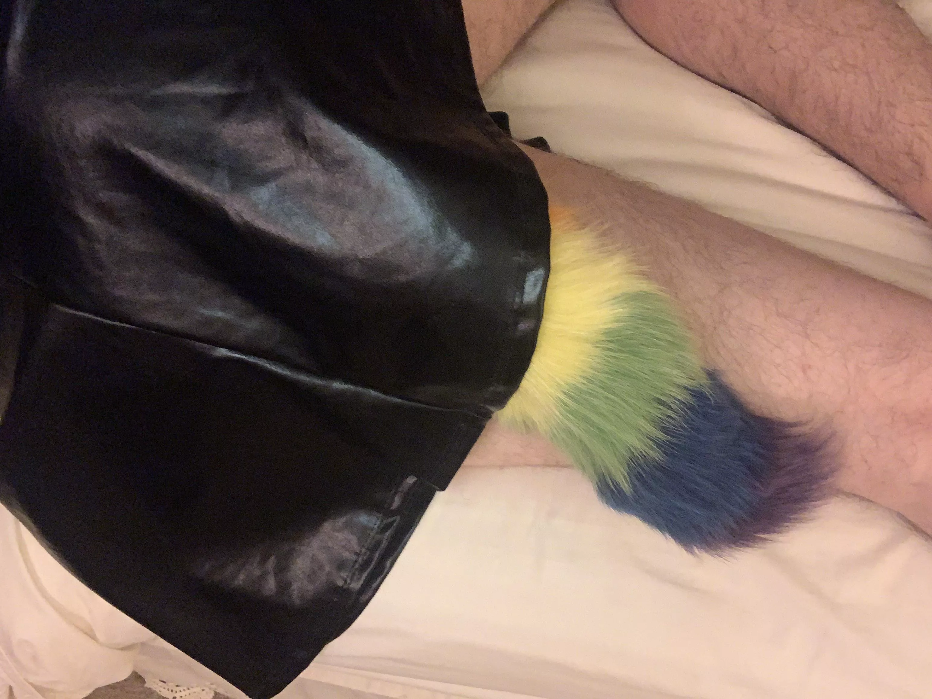 Anyone into sissy’s with tails rainbow tails