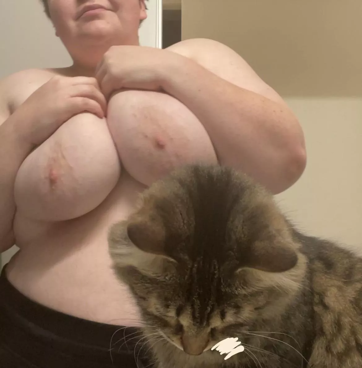 anyone like pussy pics? ðŸ˜»