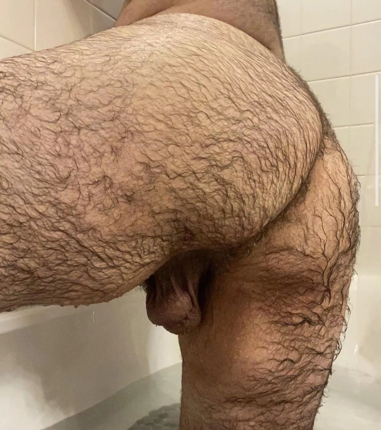 Anyone like wet hairy ass?