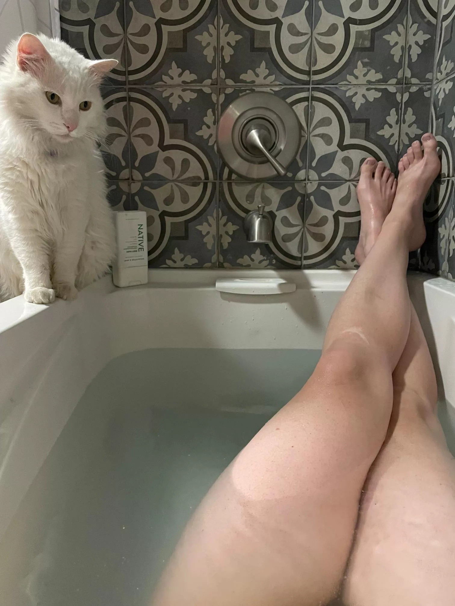 Are bath selfies welcome here?