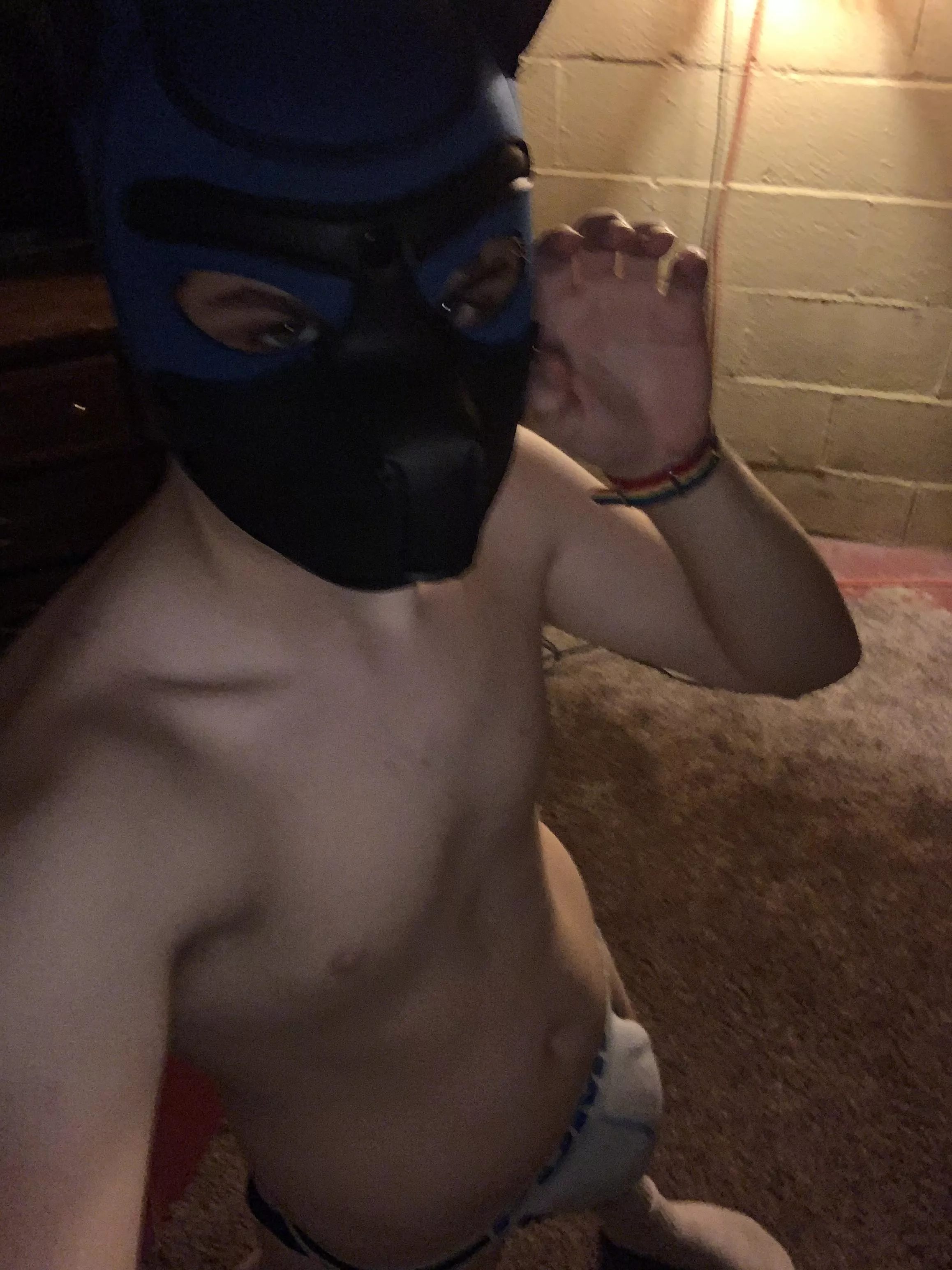 Arf arf arf. Make me a good boy (18m)