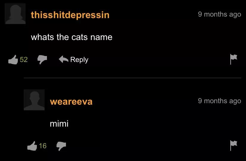 At least we know the cat’s name