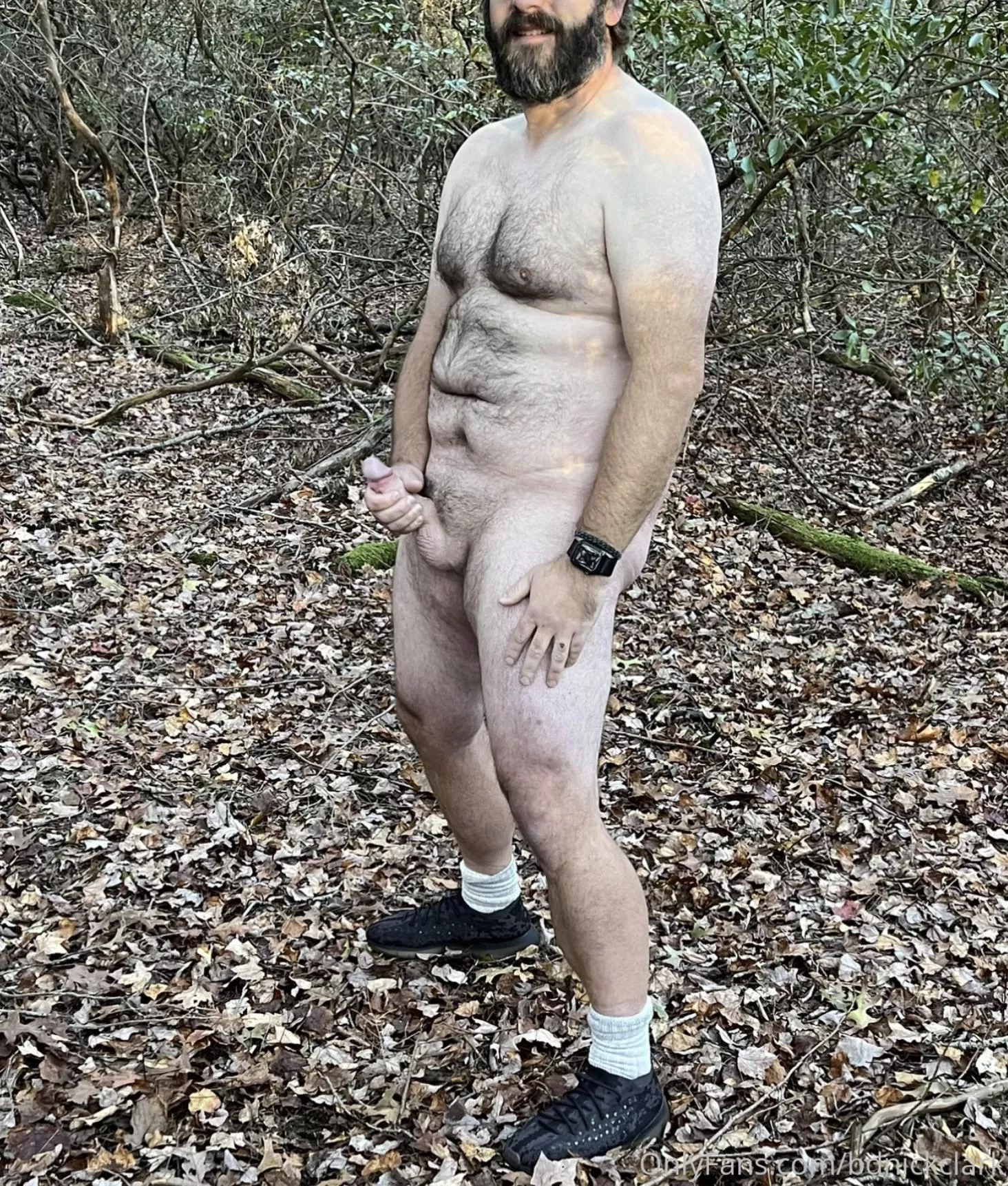 Bear bare in the woods