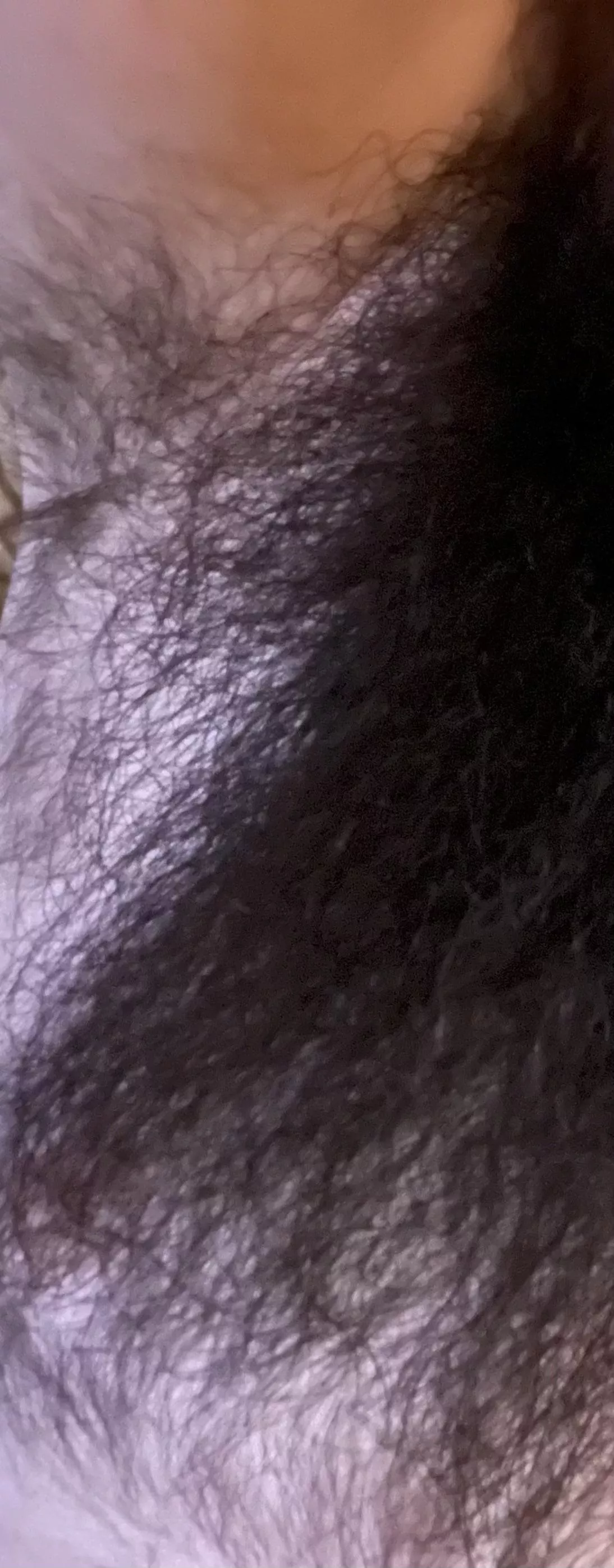 Beard pit chest. Where does the hair begin/end?