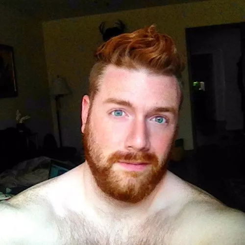 Bearded Ginger