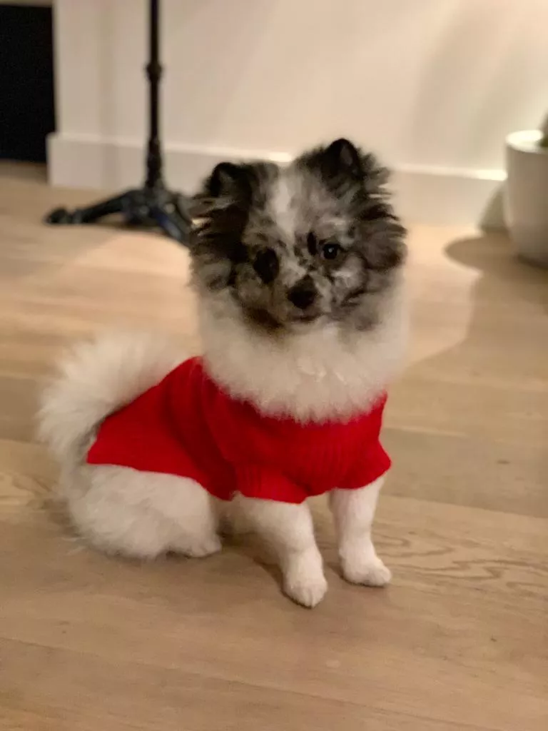 Beautiful boy in a sweater