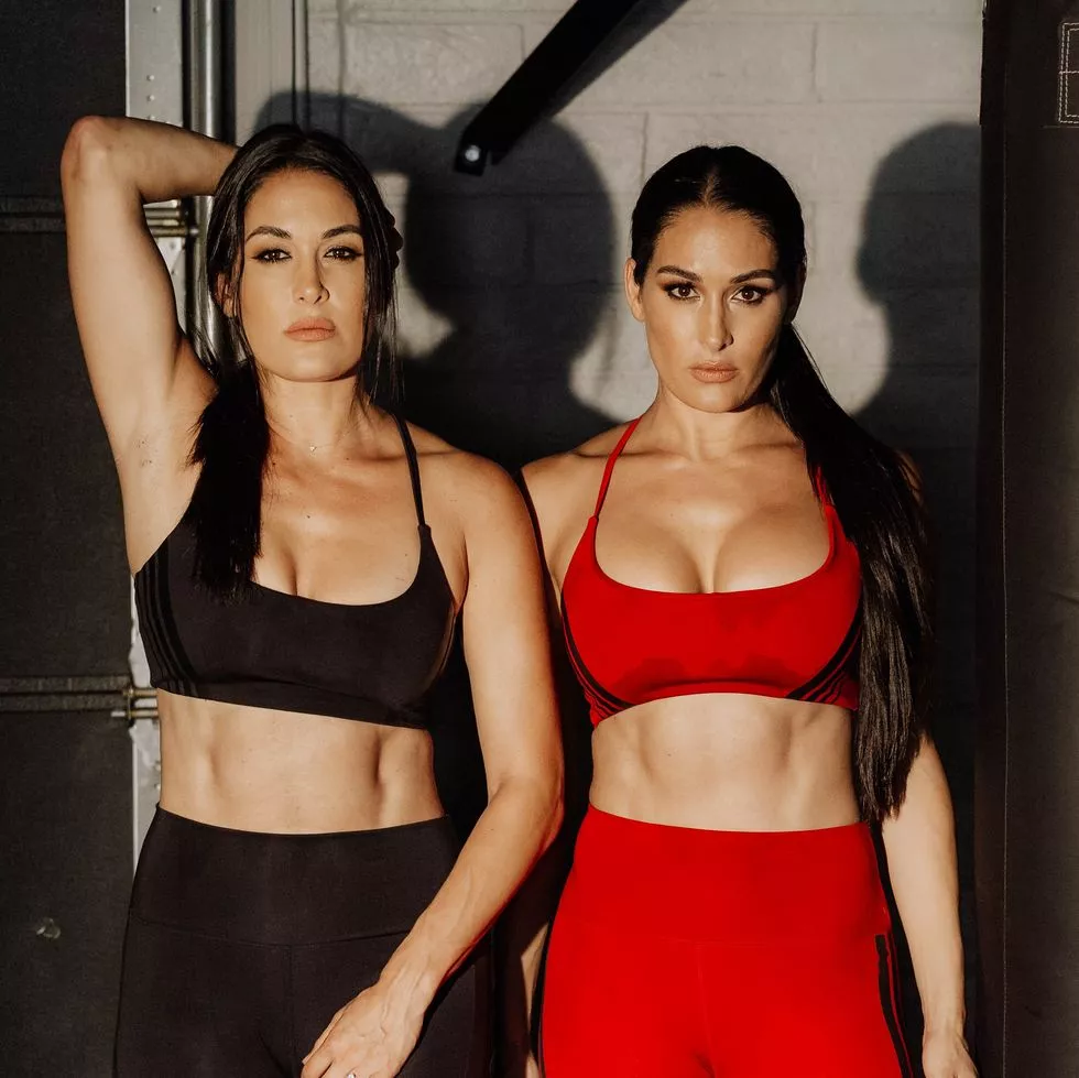 Bella Twins