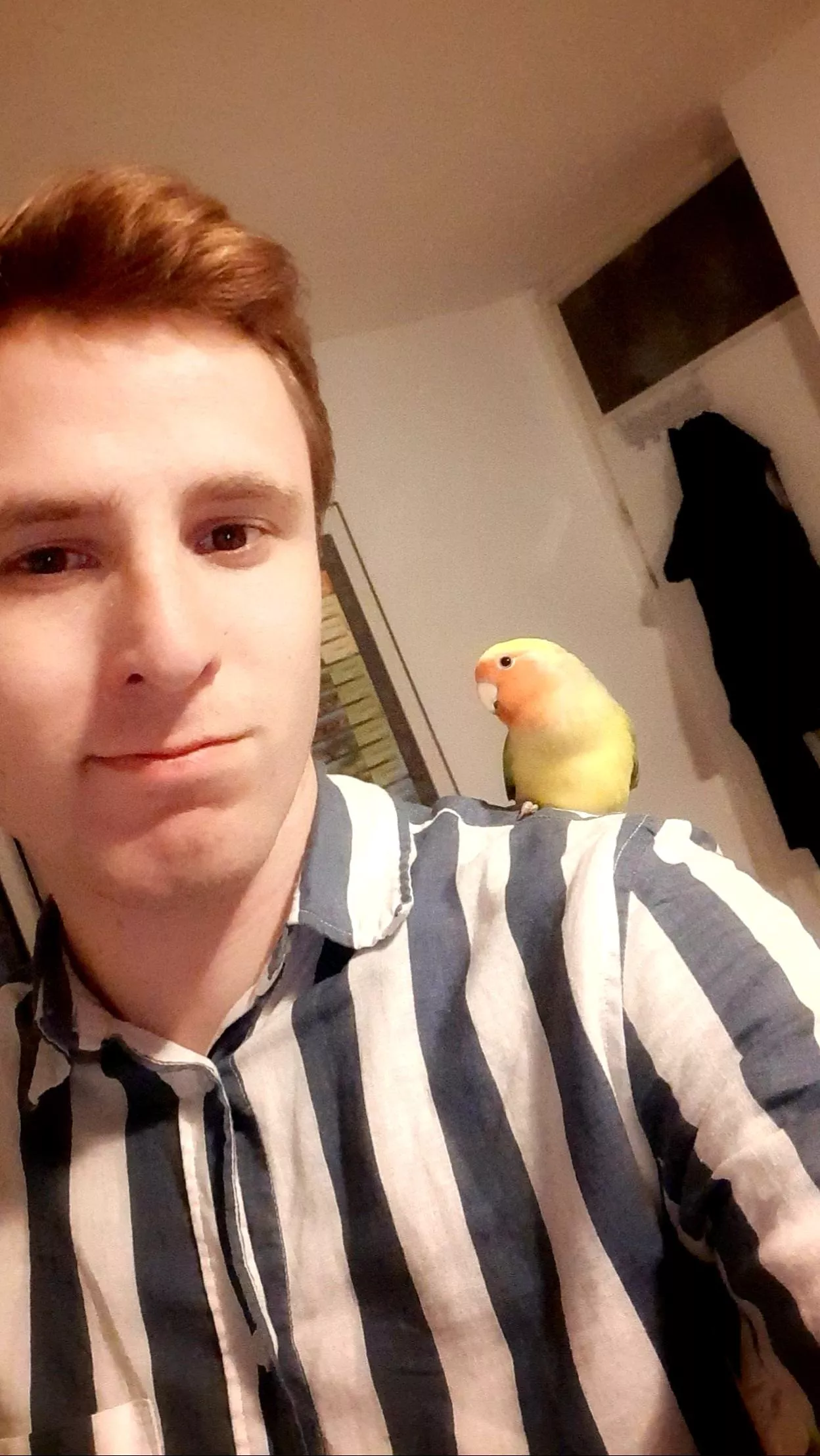 Best friend finally moved in with me! ðŸ˜ŠðŸ¦œ