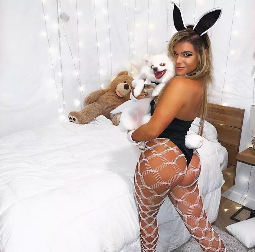 Big booty bunny