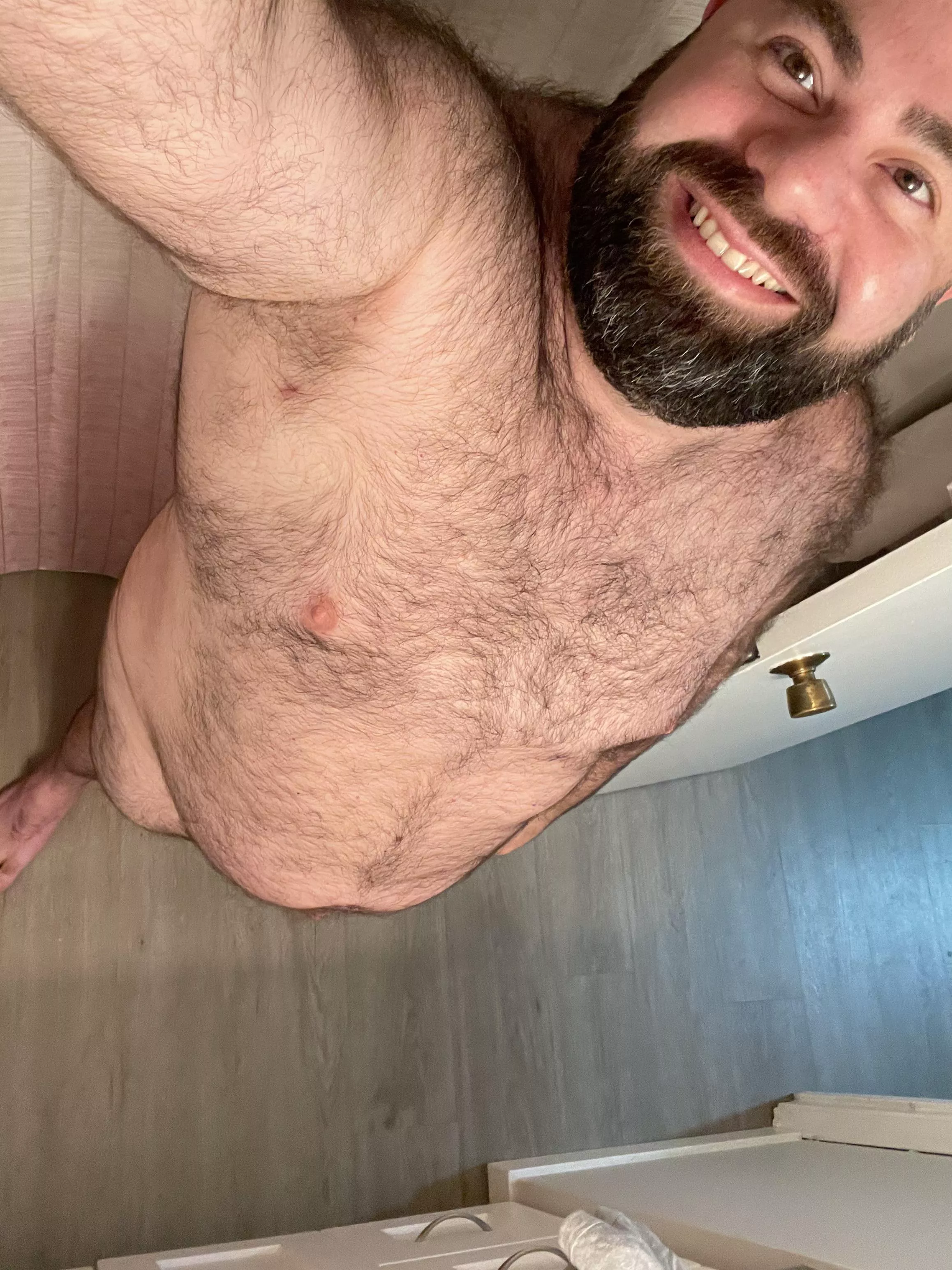 Big gut under a hairy chest